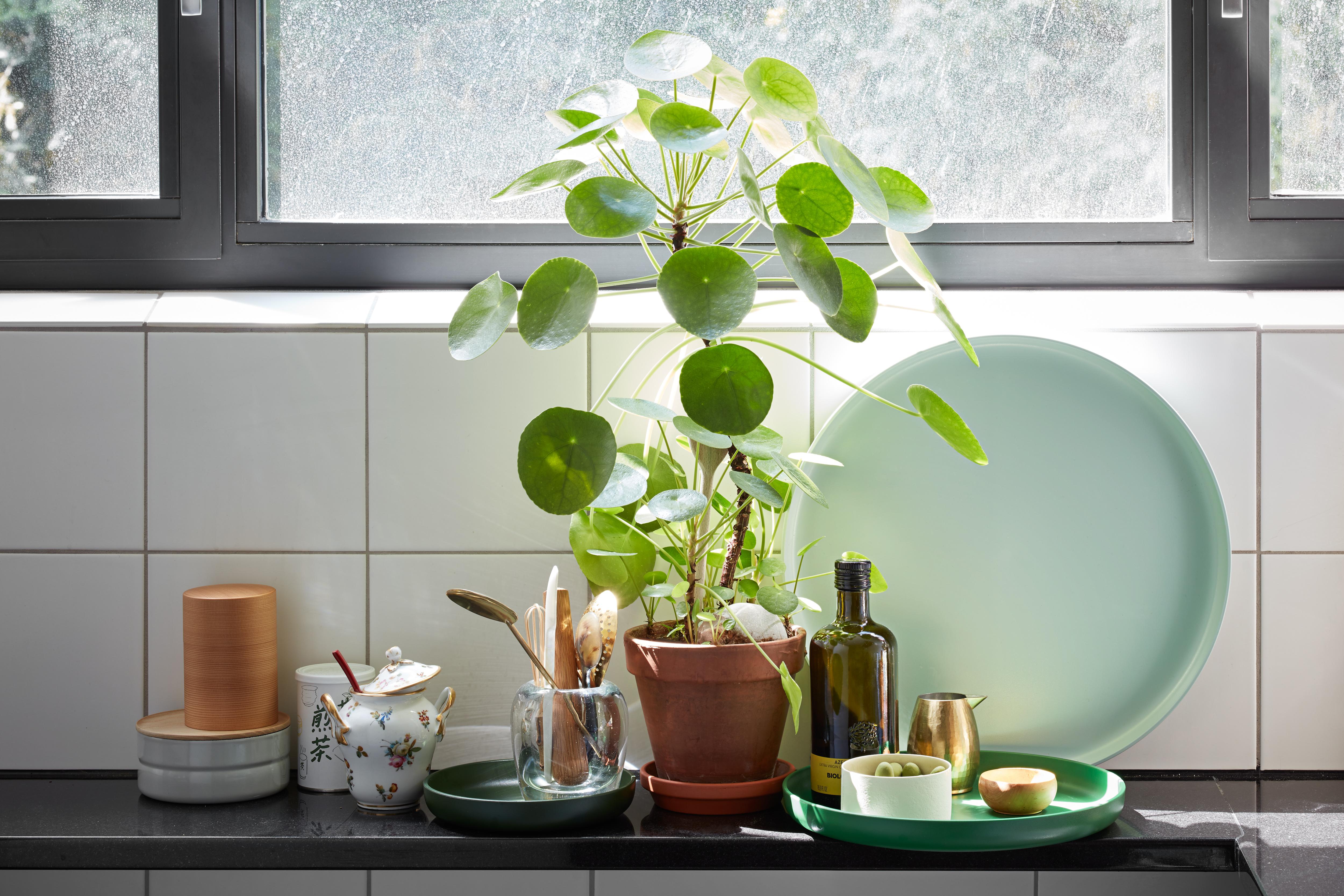 Swiss Vitra Set of Three Trays in Green by Jasper Morrison For Sale