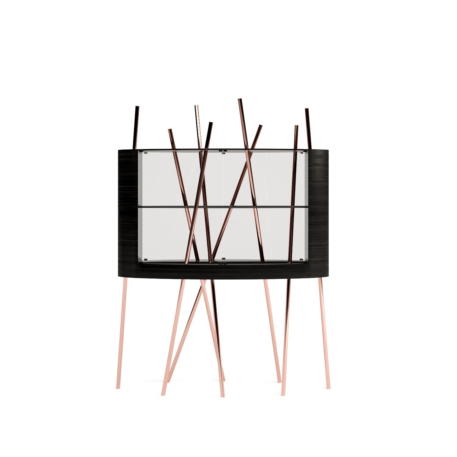Vitrine Modernity Wood Ebony Macassar Wood Black Lacquer Brushed Brass en vente 7
