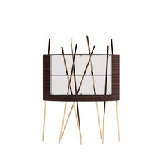 Modern Vitrine Display Case Ebony Macassar Wood Black Lacquer Brushed Brass