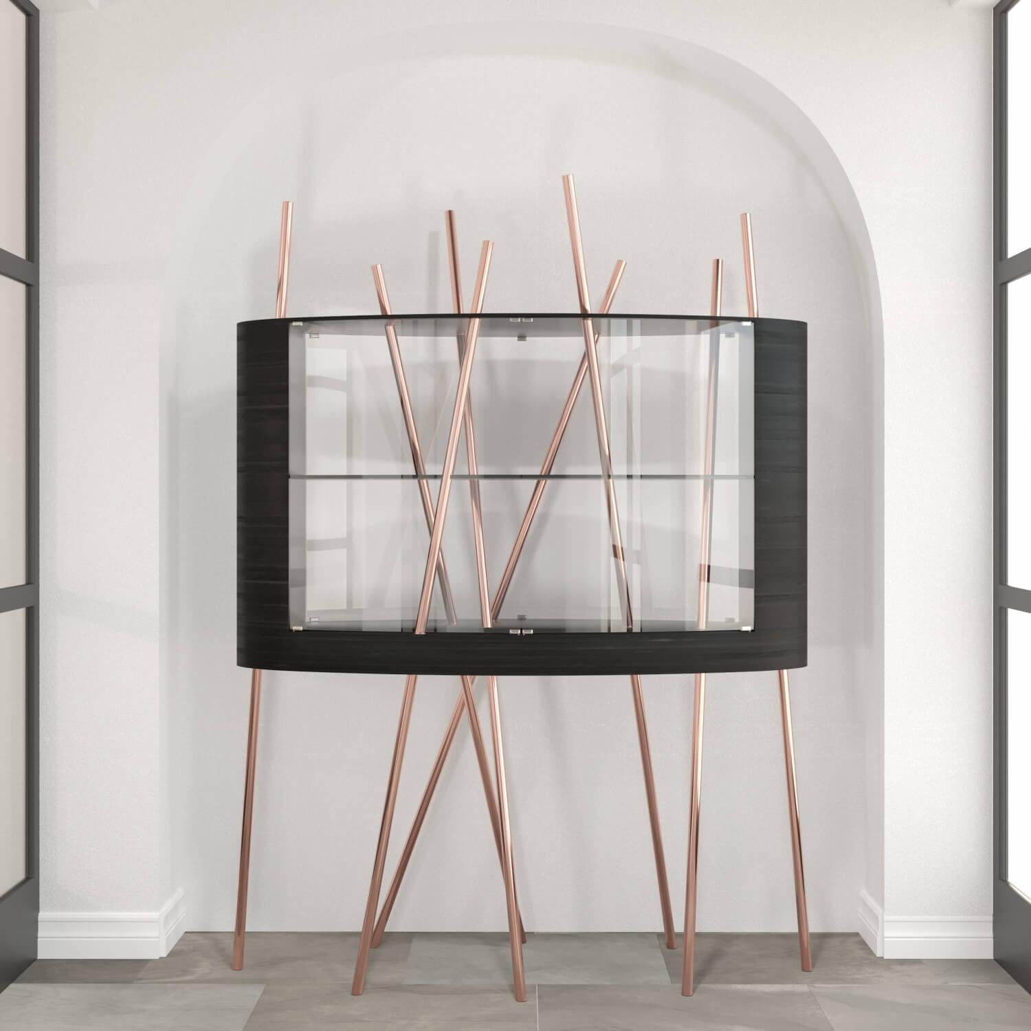 Modern Vitrine Display Case Ebony Macassar Wood Black Lacquer Brushed Brass For Sale 4