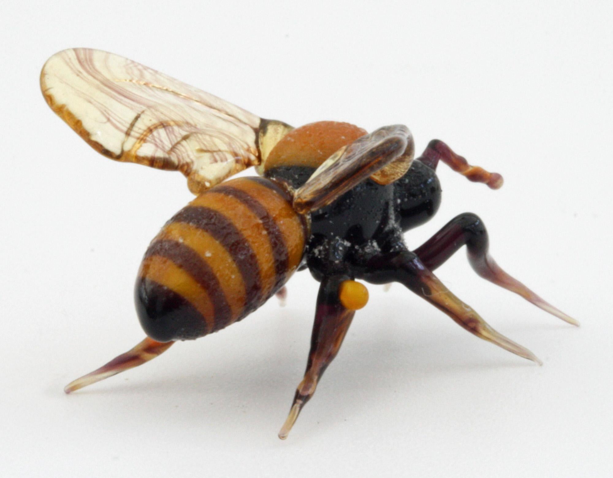 Un rare et incroyable modèle d'abeille en verre lampwork vénitien italien, grandeur nature, réalisé par le célèbre verrier Vittorio Costantini (né en 1944) et datant du 20e siècle. L'abeille se tient sur ses six pattes, chacune finement formée à