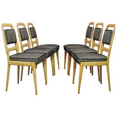 Used Vittorio Dassi Maple Wood and Velvet Midcentury Chairs, 1950