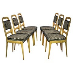 Vittorio Dassi Maple Wood and Velvet Midcentury Dinning Chairs, 1950