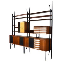 Vittorio Dassi Wall Unit in Brazilian Rosewood and Brass, Italy, 1964