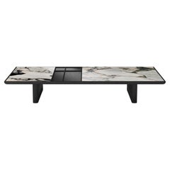 Vittorio Large Coffee Table in Black Ash Wood & Notre Dame Marble