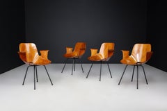 Vittorio Nobili for Fratelli Tagliabue Medea Armchairs, Italy, 1955