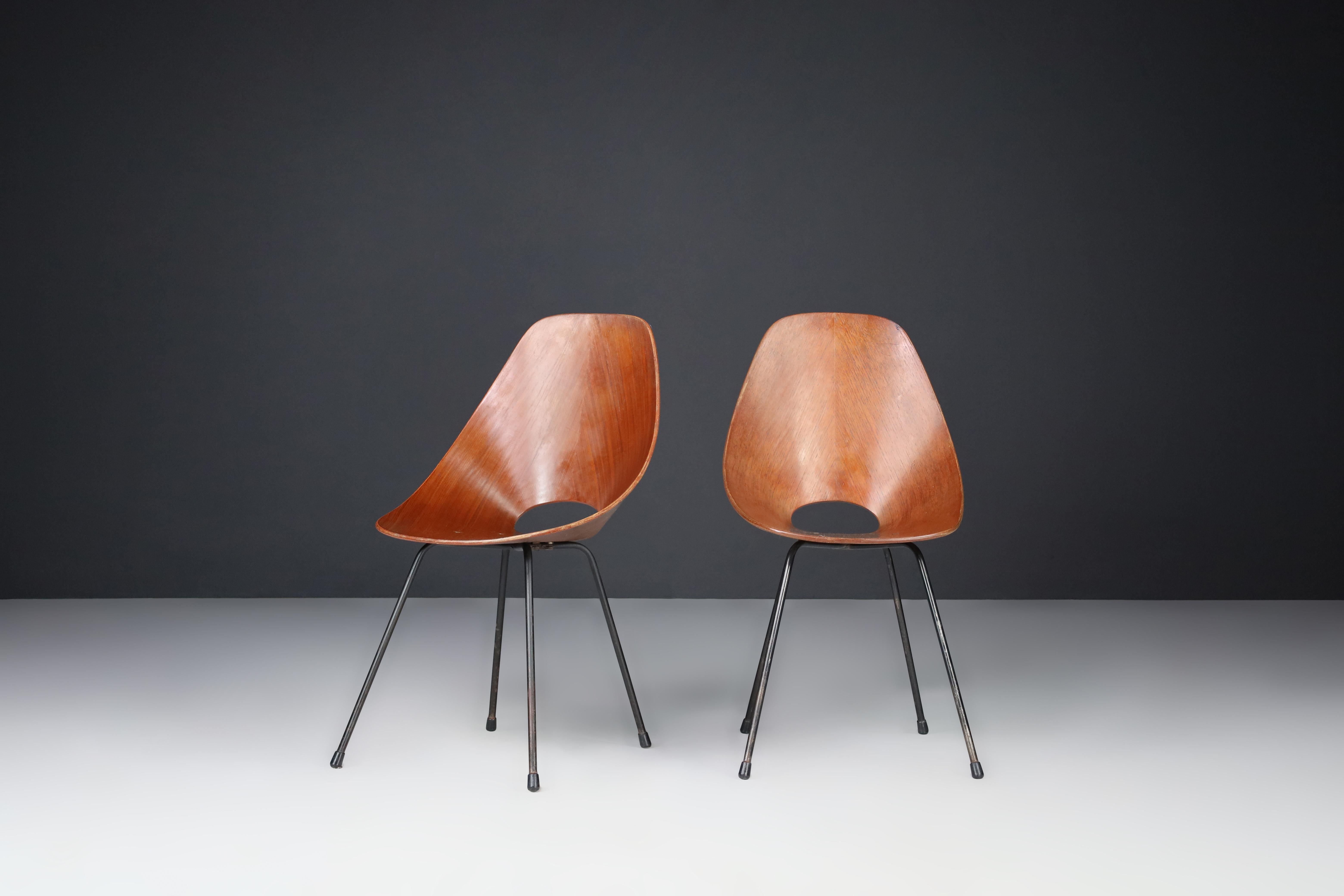 Mid-Century Modern Vittorio Nobili for Fratelli Tagliabue Medea Dining Chairs, Italy, 1955 For Sale