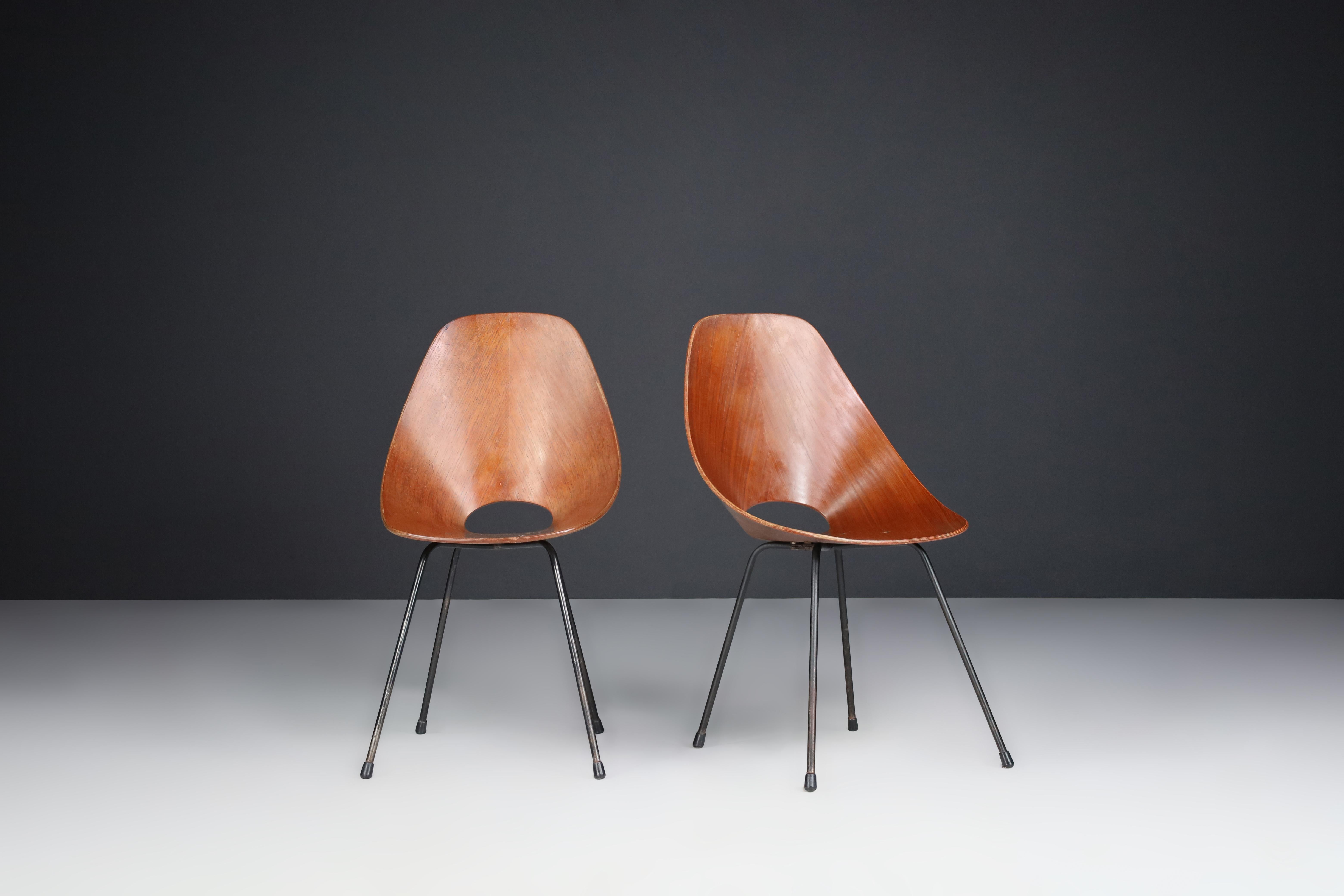 Italian Vittorio Nobili for Fratelli Tagliabue Medea Dining Chairs, Italy, 1955 For Sale