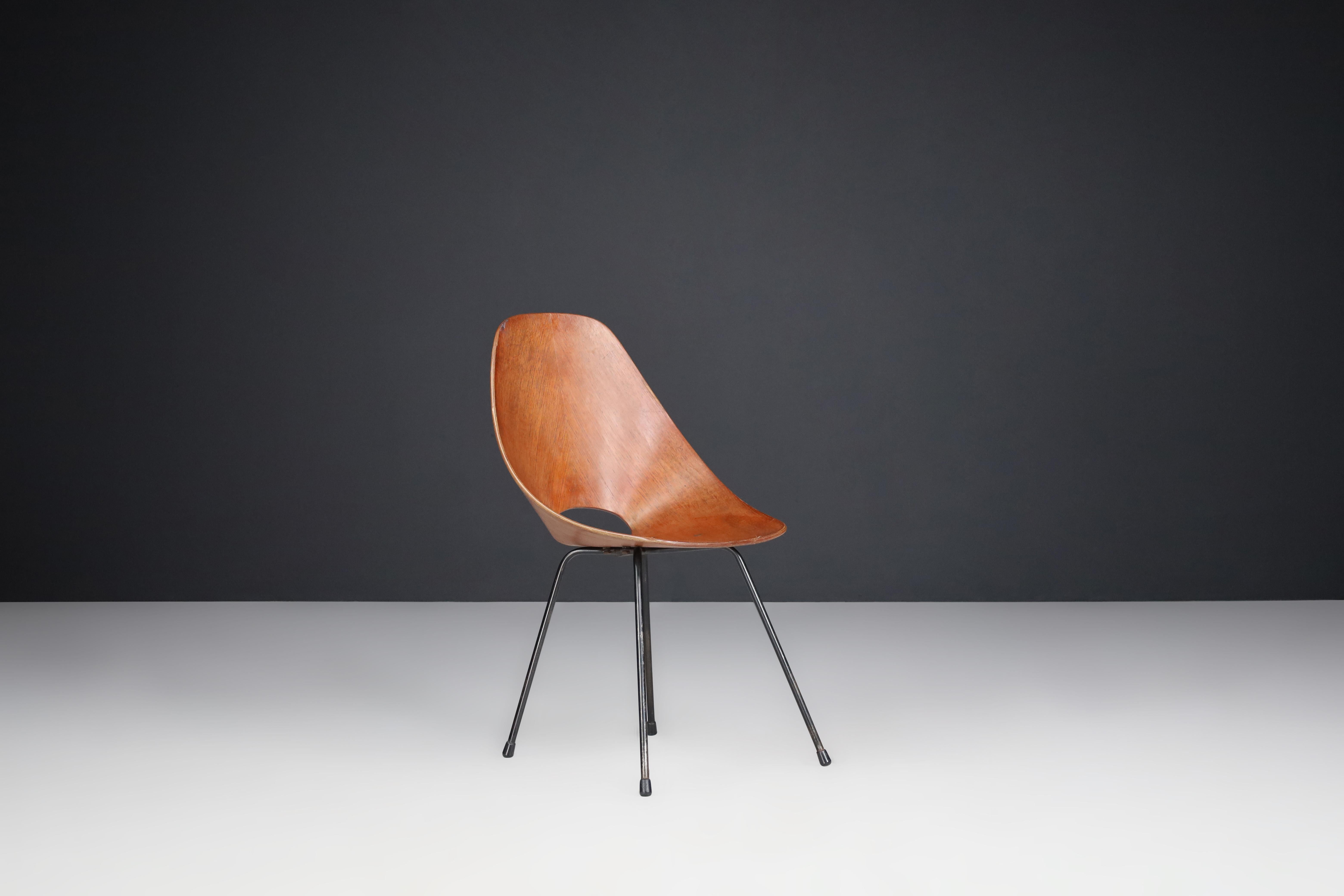 20th Century Vittorio Nobili for Fratelli Tagliabue Medea Dining Chairs, Italy, 1955 For Sale