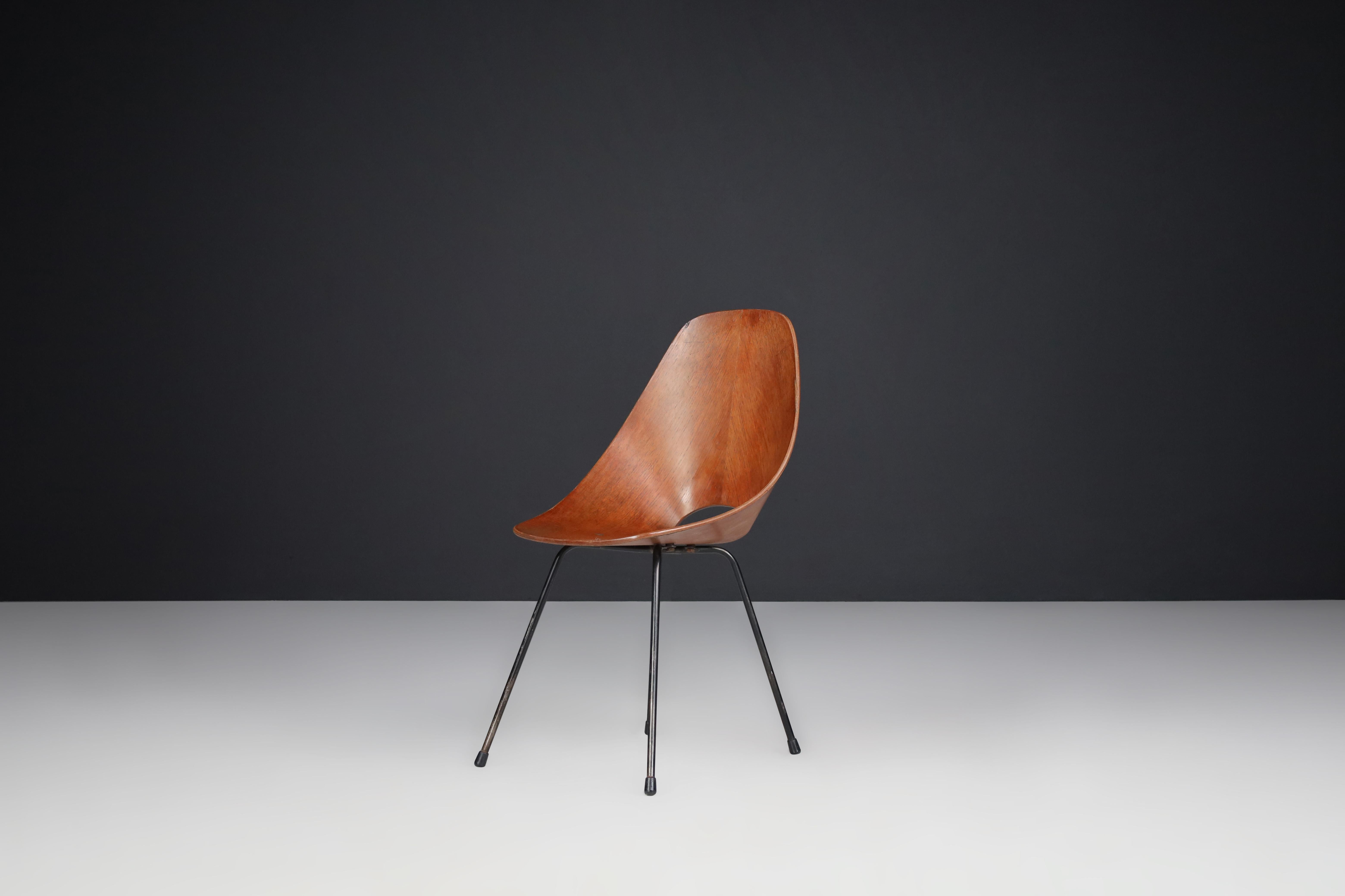 Vittorio Nobili for Fratelli Tagliabue Medea Dining Chairs, Italy, 1955 For Sale 1