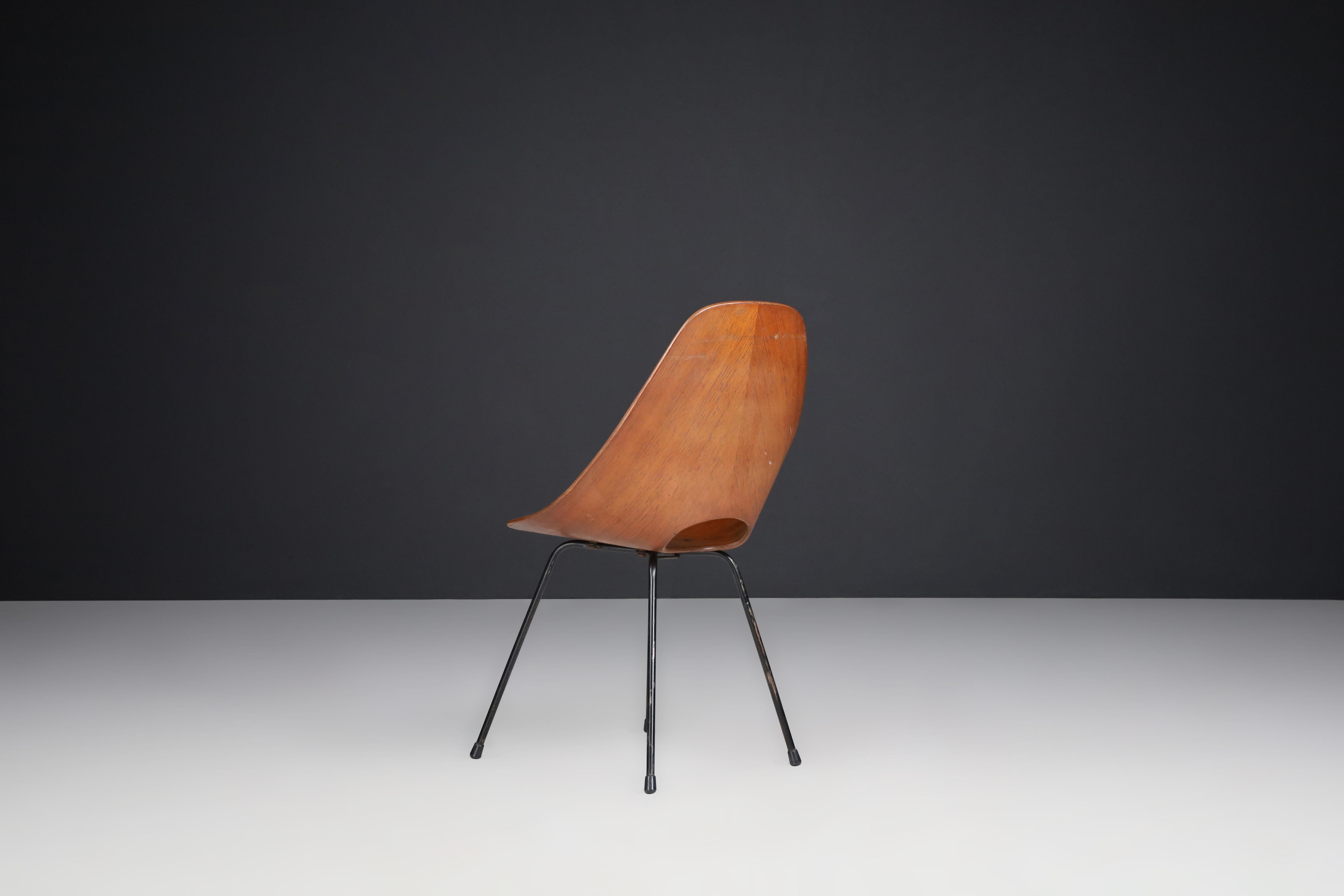 Vittorio Nobili for Fratelli Tagliabue Medea Dining Chairs, Italy, 1955 For Sale 2