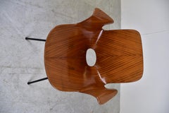 Vittorio Nobili for Fratelli Tagliabue Medea Chair, Italy, 1950s