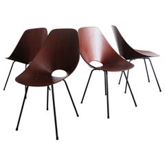 Vittorio Nobili Italian Wood Chairs Model Medea for Fratelli Tagliabue, 1950s