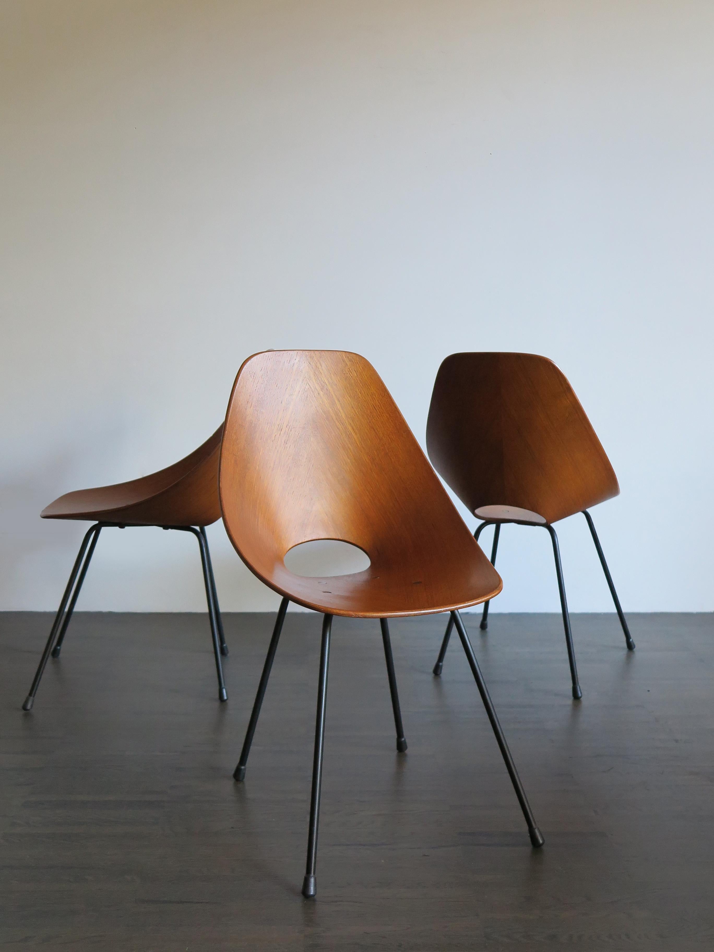 Mid-Century Modern Vittorio Nobili Italian Wood Medea Chairs for Fratelli Tagliabue, 1950s For Sale