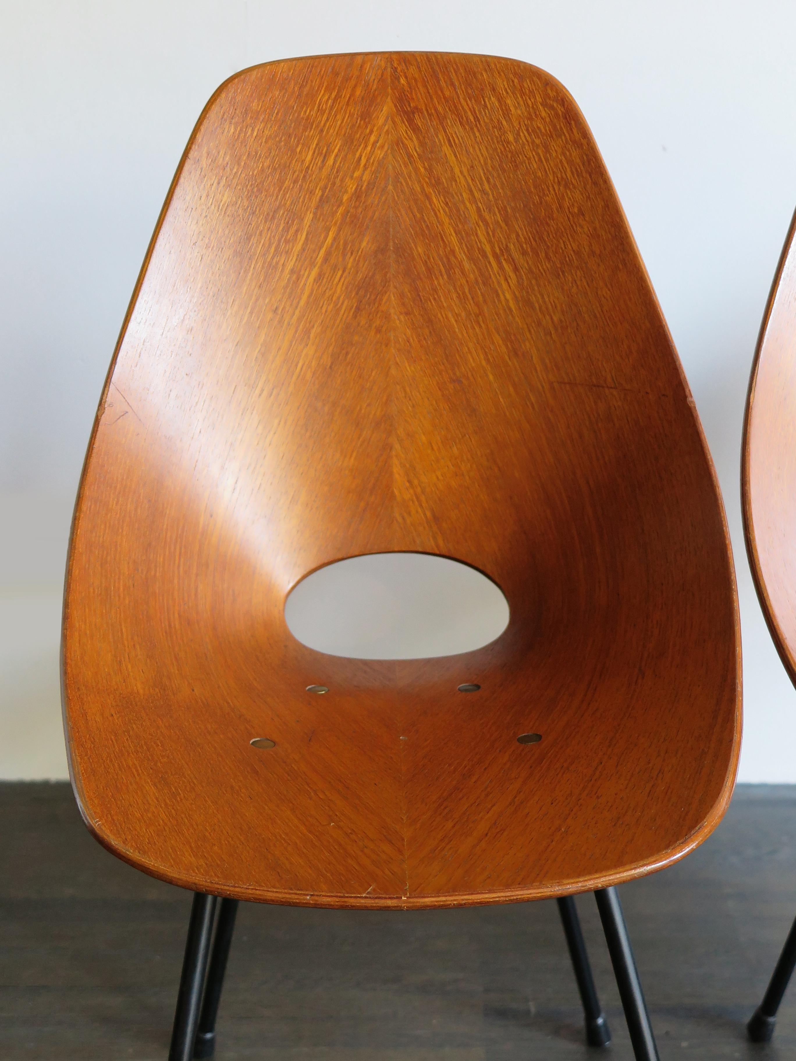 Mid-20th Century Vittorio Nobili Italian Wood Medea Chairs for Fratelli Tagliabue, 1950s For Sale