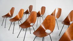 Vittorio Nobili "Medea" Esszimmerstühle, Italien 1955 - Verkauft pro Stück