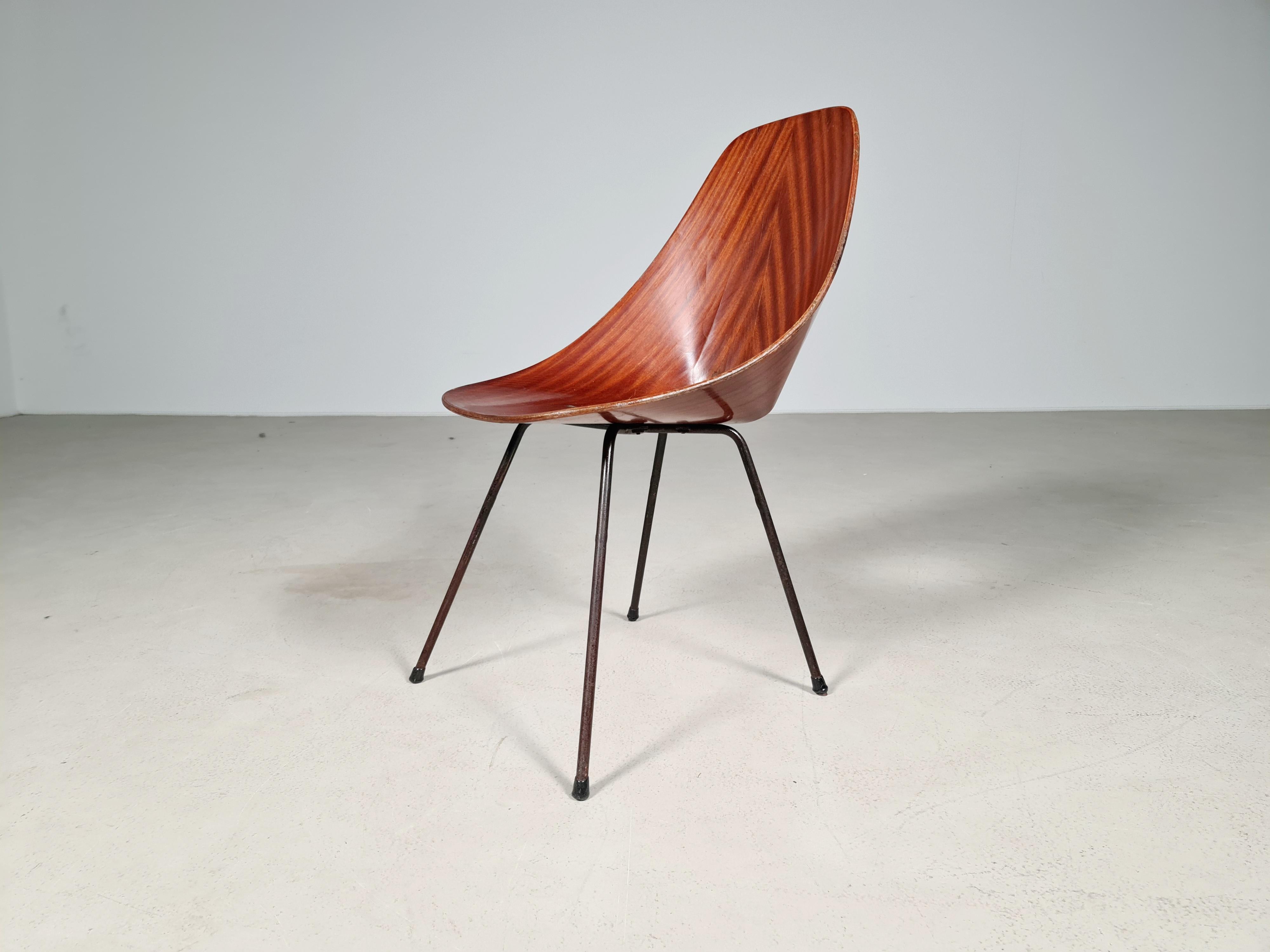 Vittorio Nobili Medea Plywood Side Chair from Italy, 1956 3