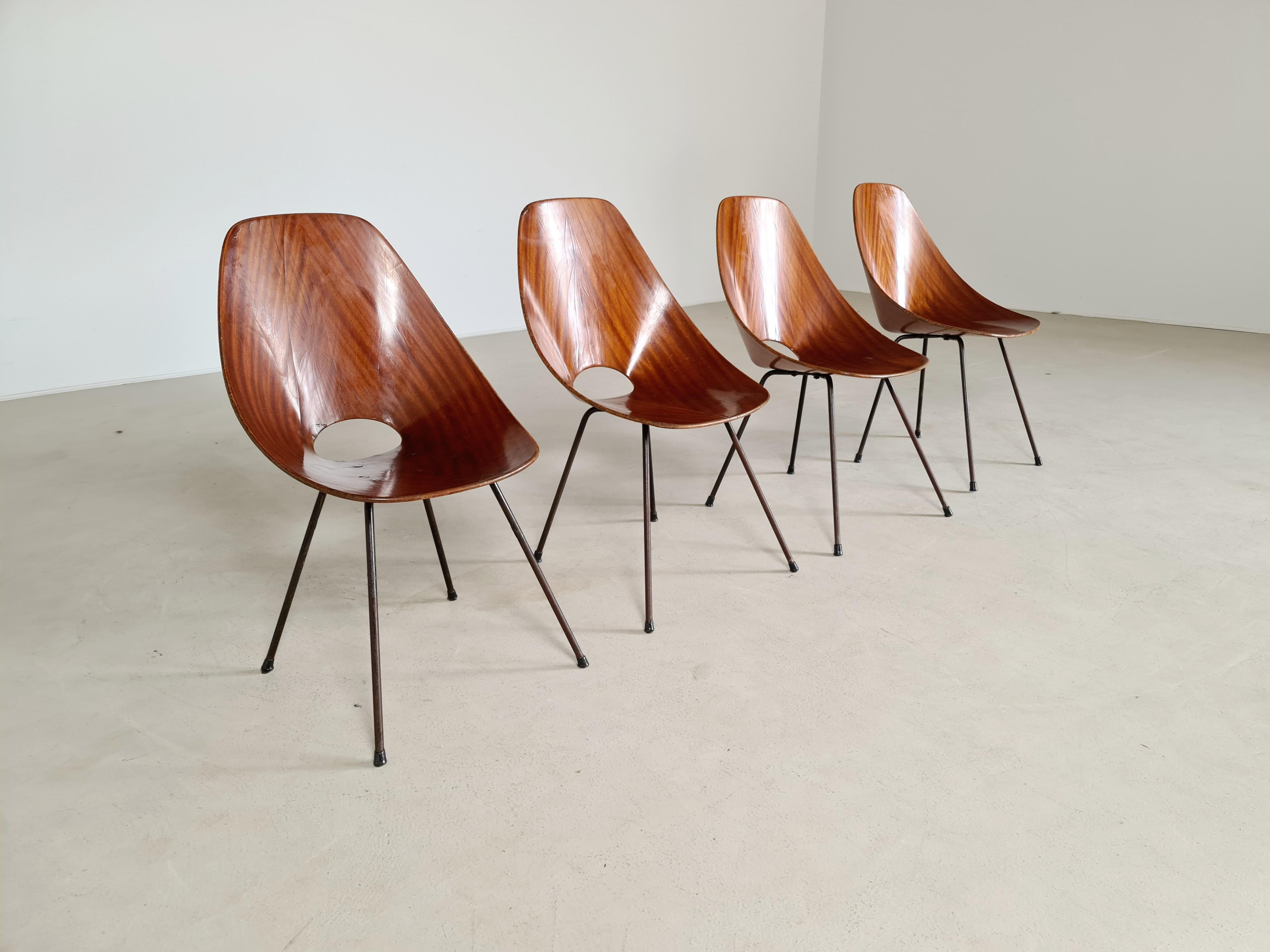 Mid-Century Modern Vittorio Nobili Medea Plywood Side Chair from Italy, 1956