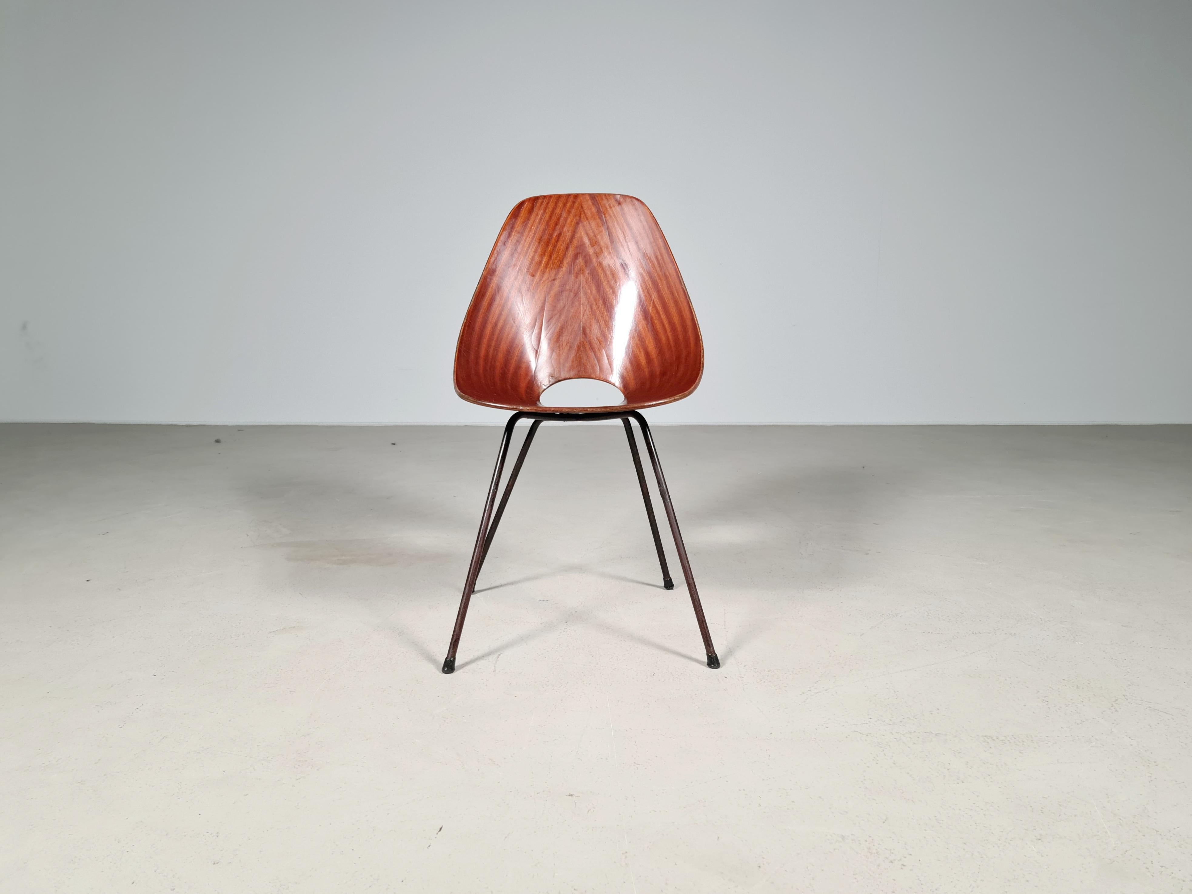 European Vittorio Nobili Medea Plywood Side Chair from Italy, 1956