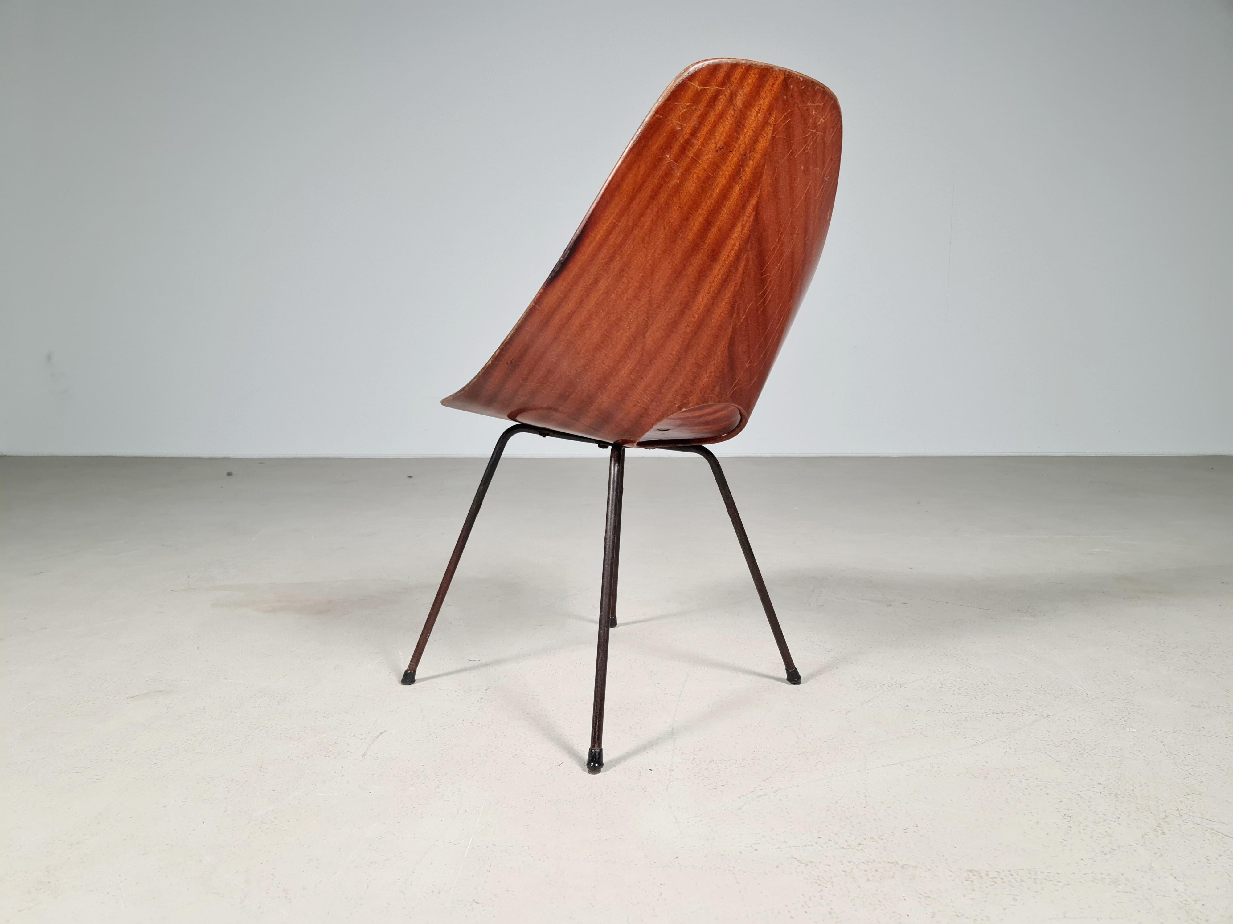 Vittorio Nobili Medea Plywood Side Chair from Italy, 1956 In Fair Condition In amstelveen, NL