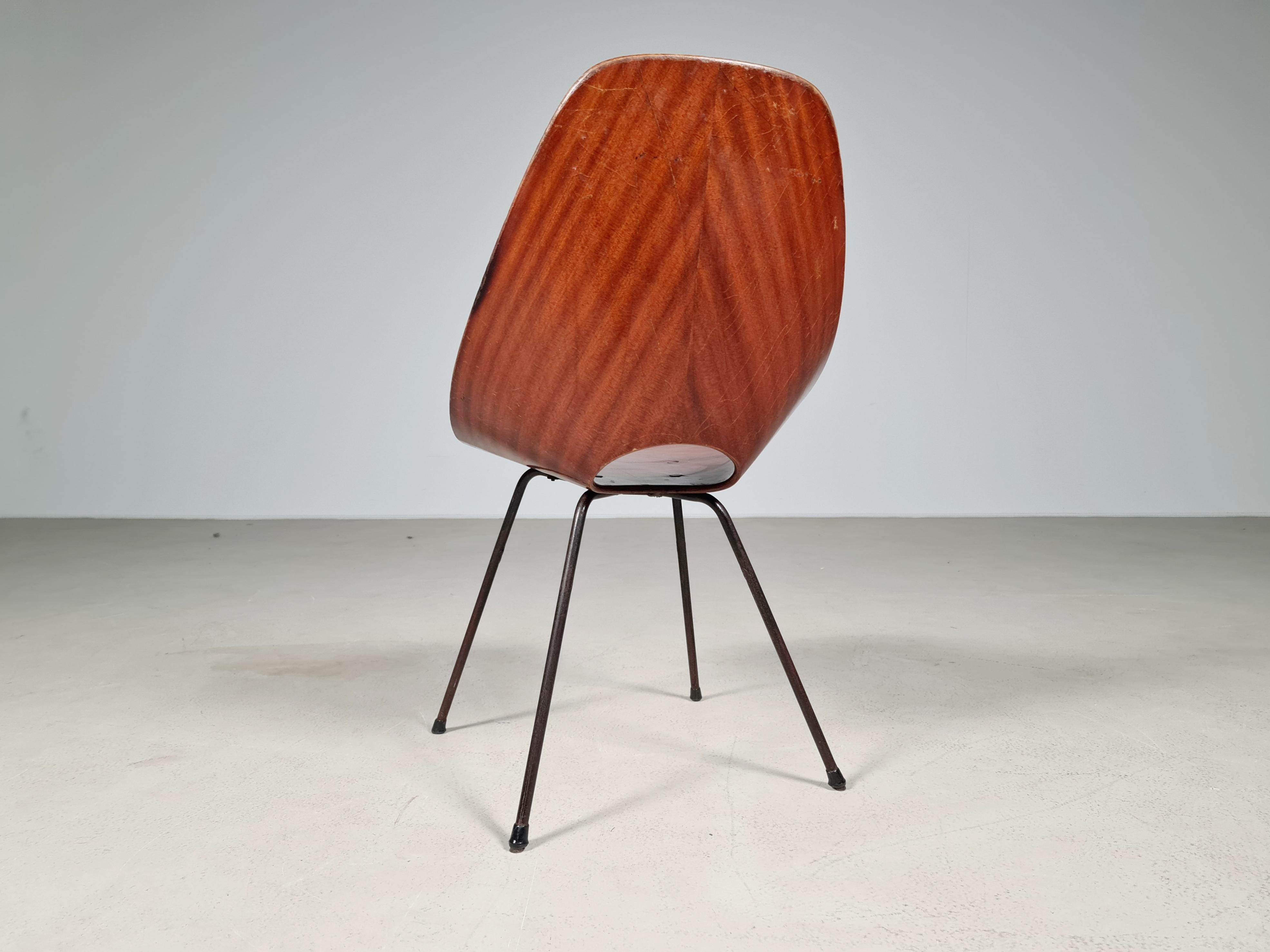 Vittorio Nobili Medea Plywood Side Chair from Italy, 1956 2