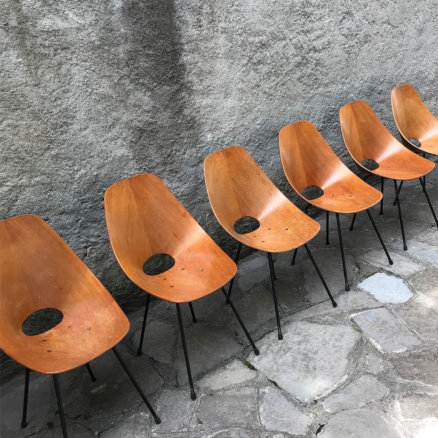 Set of six vintage italian Medea chairs in wood by Vittorio Nobili for Tagliabue For Sale 3