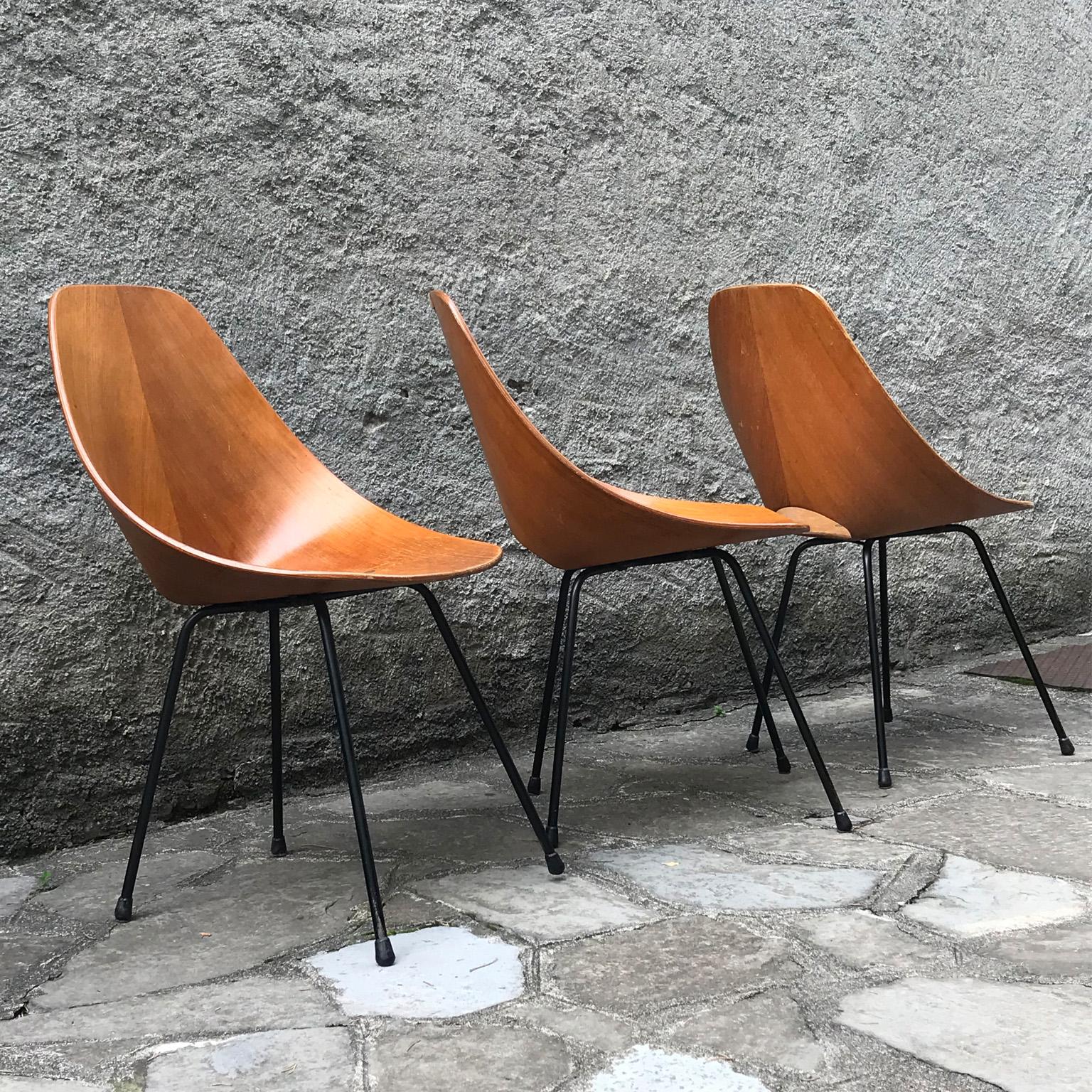 Set of six vintage italian Medea chairs in wood by Vittorio Nobili for Tagliabue For Sale 6