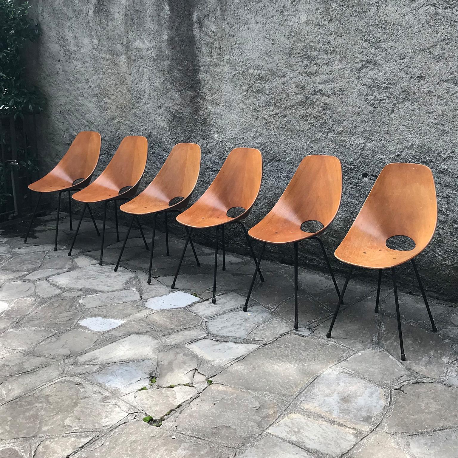 Wood Set of six vintage italian Medea chairs in wood by Vittorio Nobili for Tagliabue For Sale