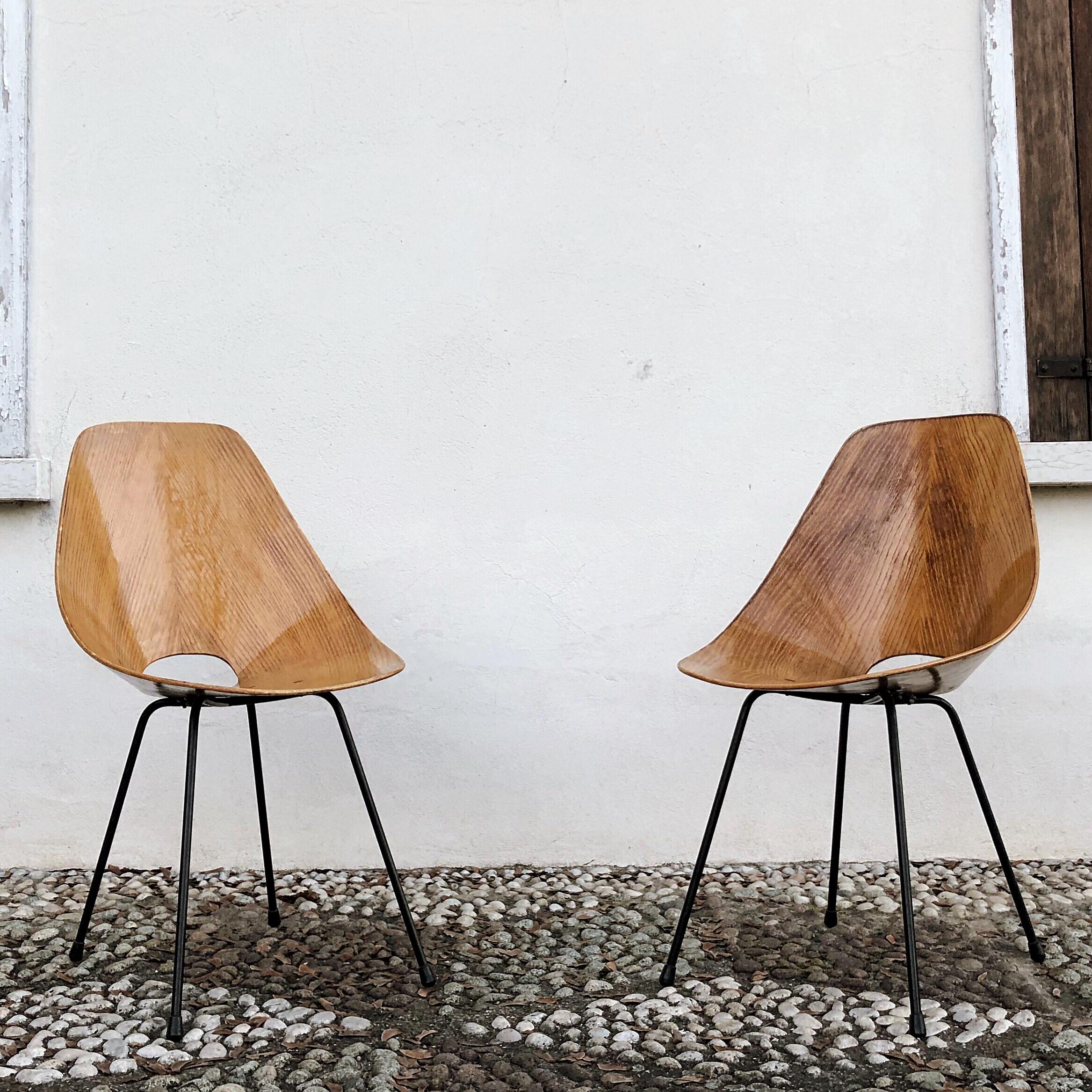 Vittorio Nobili Midcentury Ash Wood Medea Dining Room Chairs, 1956, Set of Four For Sale 3