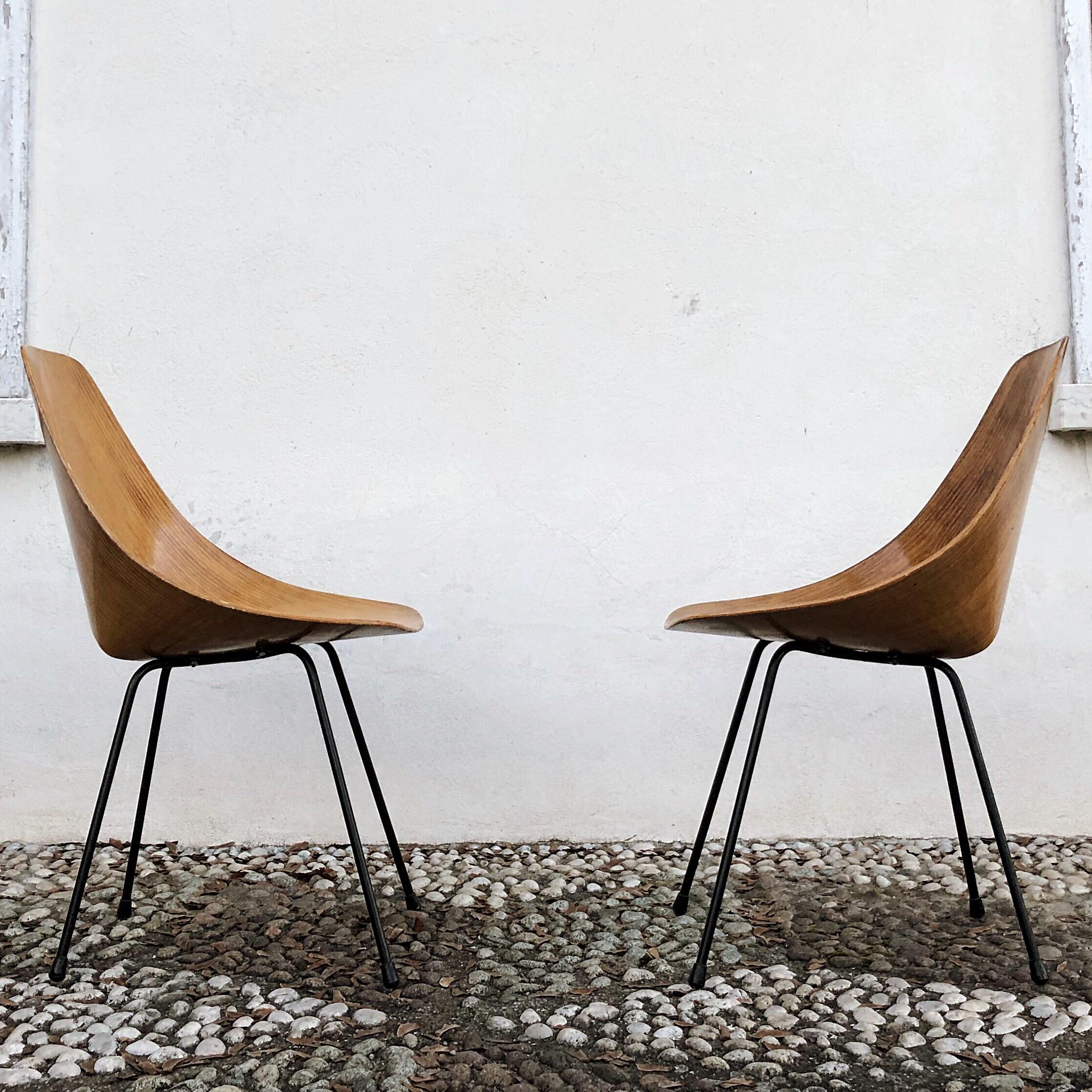 Vittorio Nobili Midcentury Ash Wood Medea Dining Room Chairs, 1956, Set of Four For Sale 5