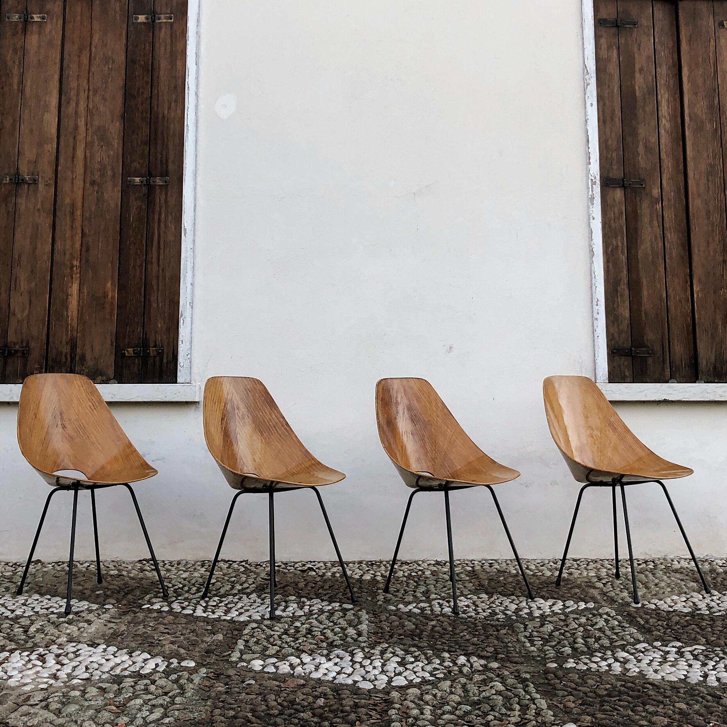 Vittorio Nobili Midcentury Ash Wood Medea Dining Room Chairs, 1956, Set of Four In Good Condition For Sale In Vicenza, IT