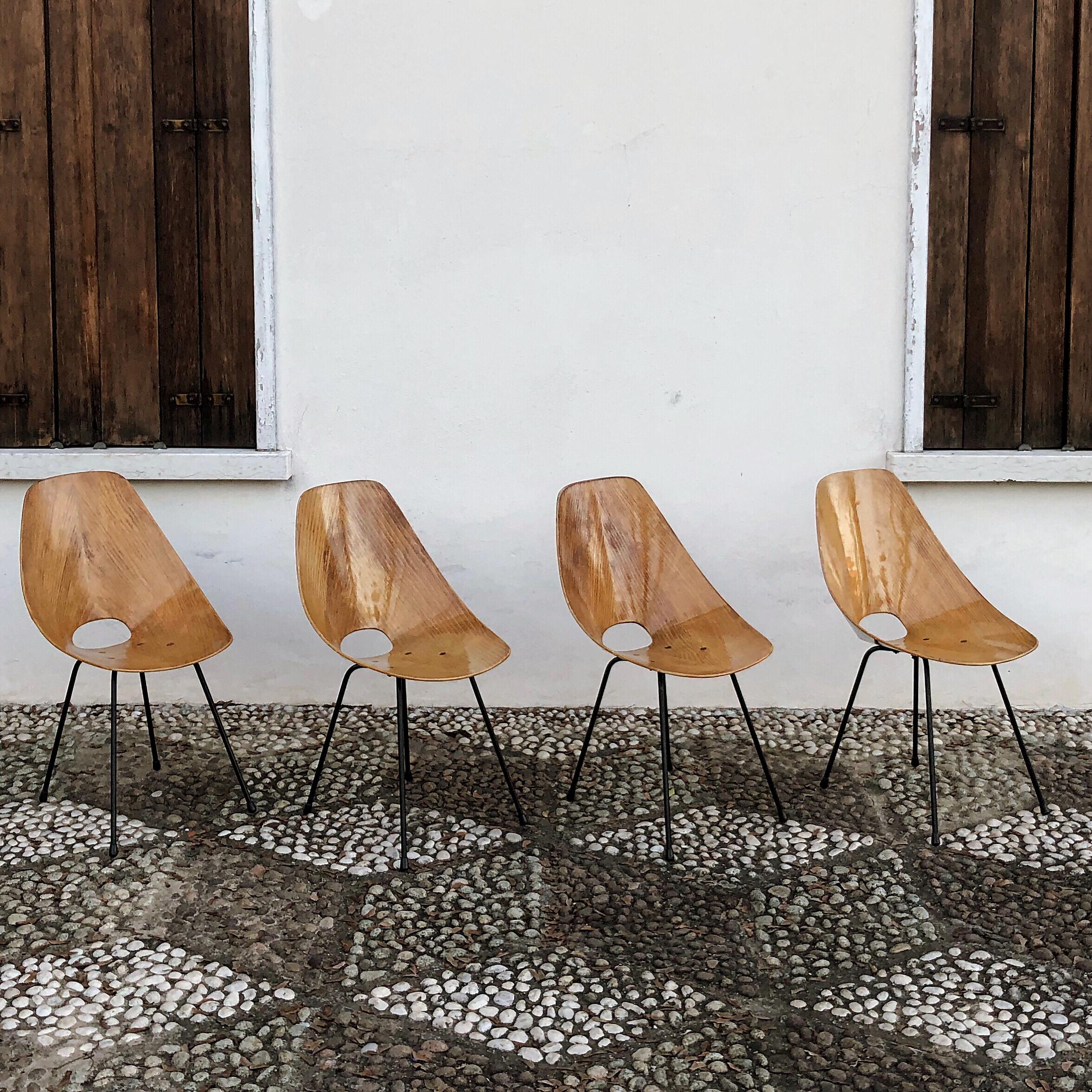 Mid-20th Century Vittorio Nobili Midcentury Ash Wood Medea Dining Room Chairs, 1956, Set of Four For Sale