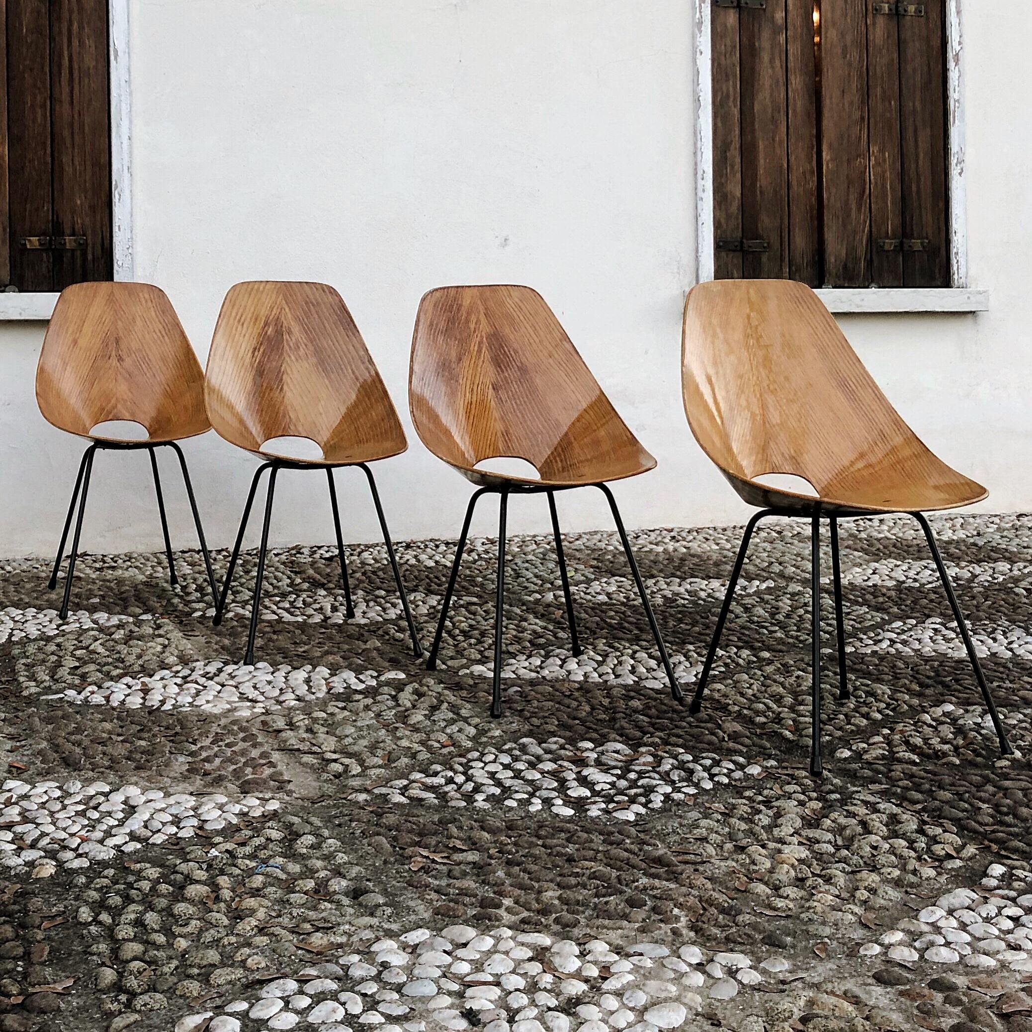 Iron Vittorio Nobili Midcentury Ash Wood Medea Dining Room Chairs, 1956, Set of Four For Sale