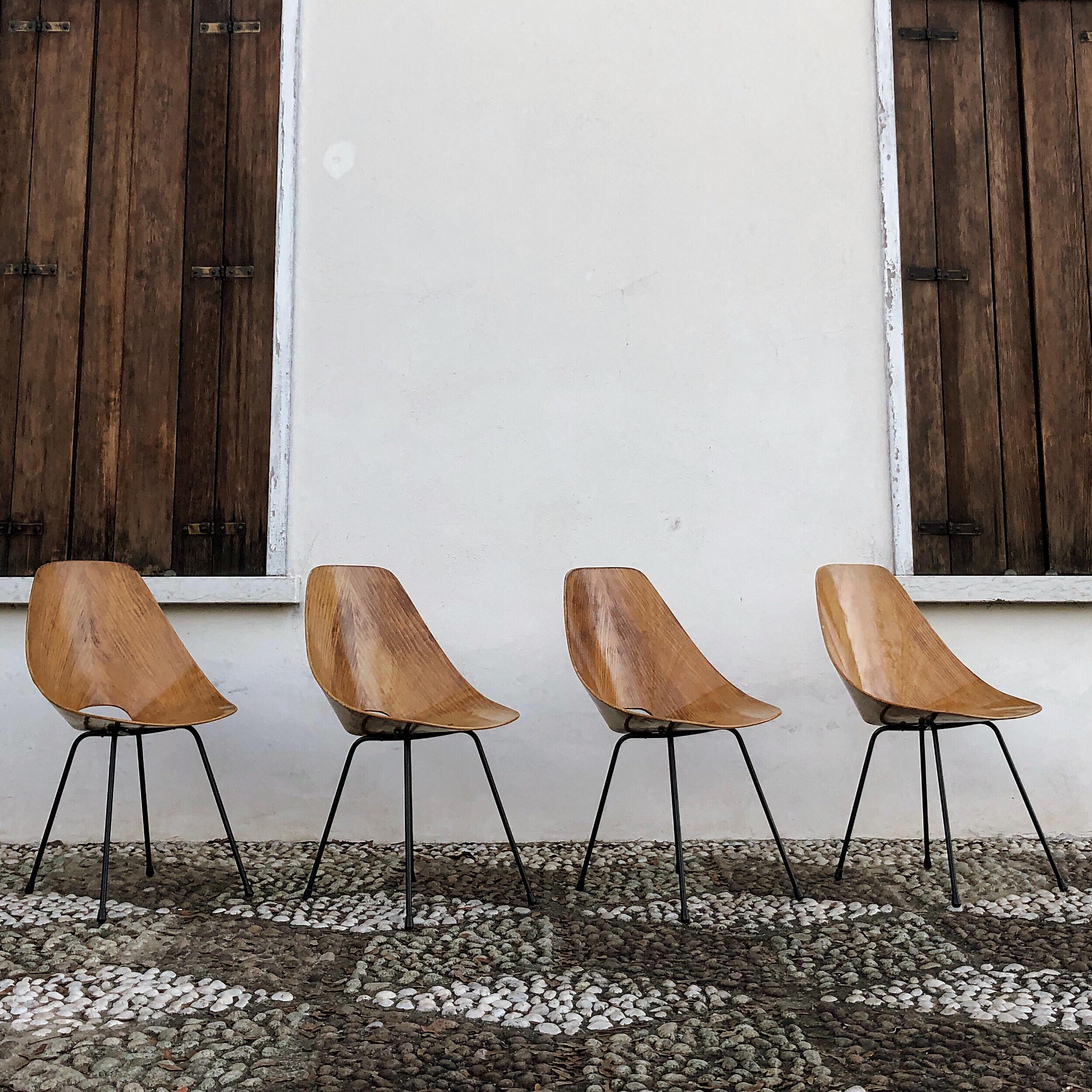 Vittorio Nobili Midcentury Ashwood Medea Dining Room Chairs, 1955, Set of Four For Sale 2