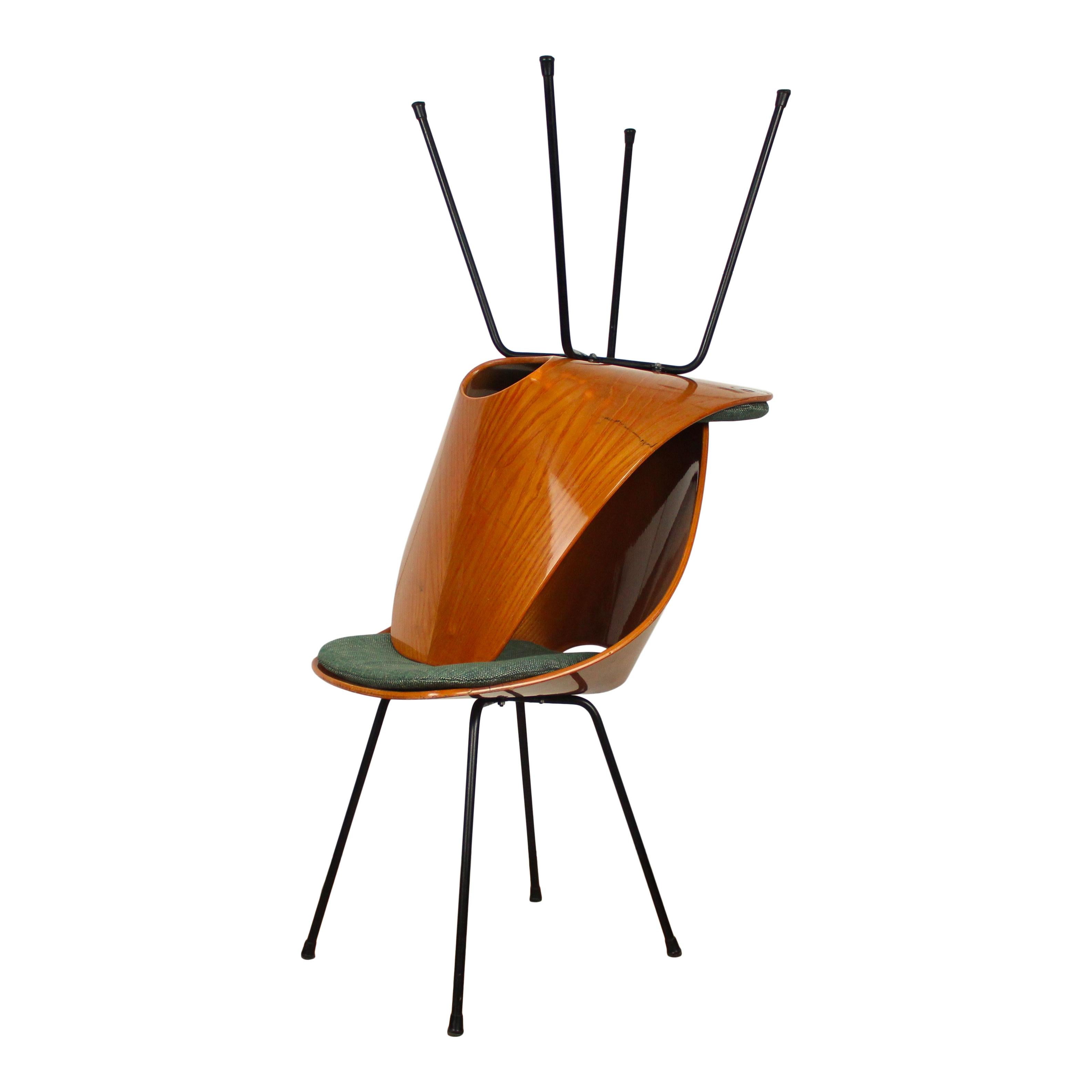 Iron Vittorio Nobili Midcentury Beech Wood Medea Dining Room Chairs, 1956, Set of 6 For Sale