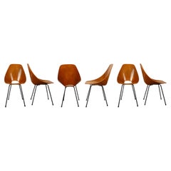 Vittorio Nobili Midcentury Beech Wood Medea Dining Room Chairs, 1956, Set of 6