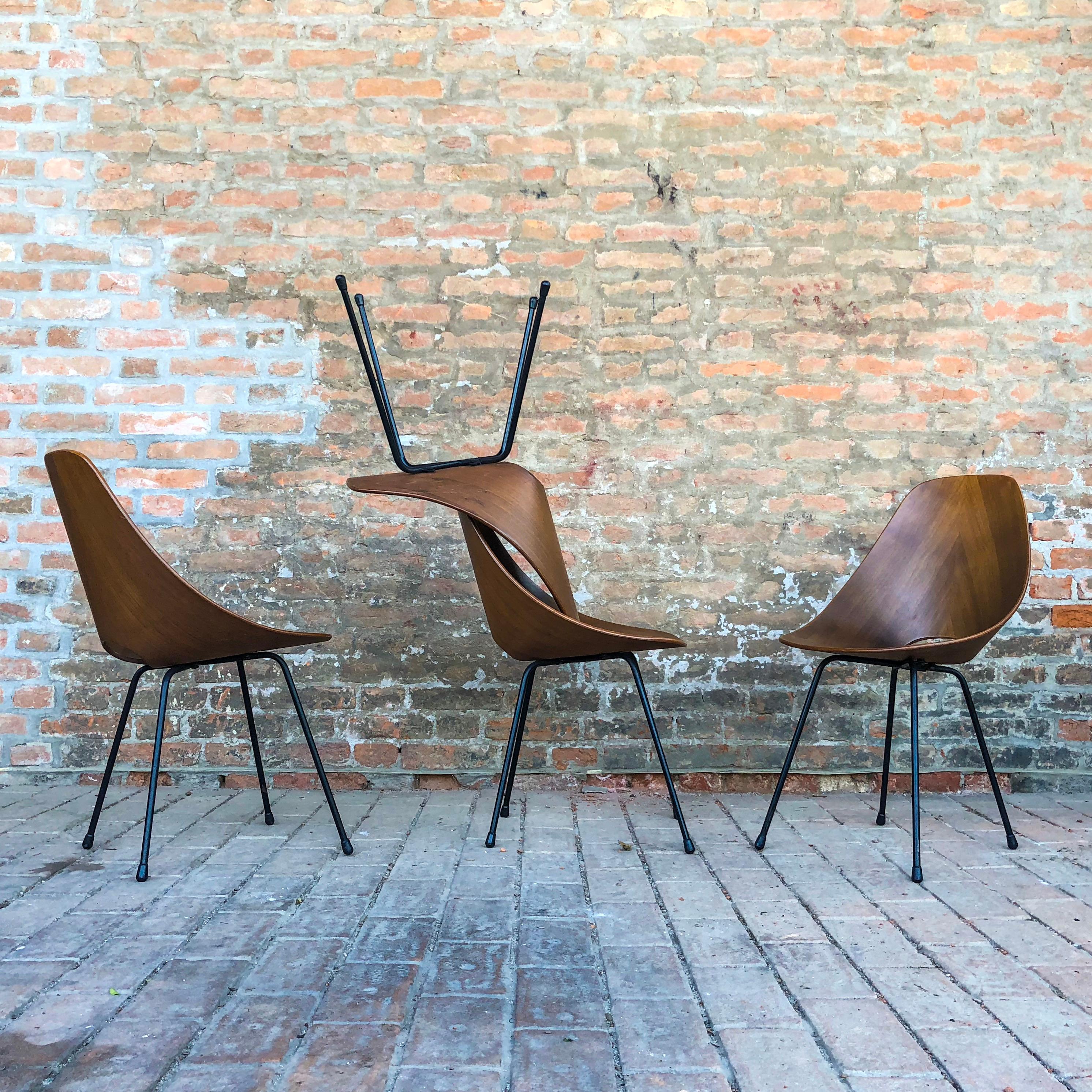 Lacquered Vittorio Nobili Midcentury Teak Medea Dining Room Chairs, 1956, Set of Four For Sale