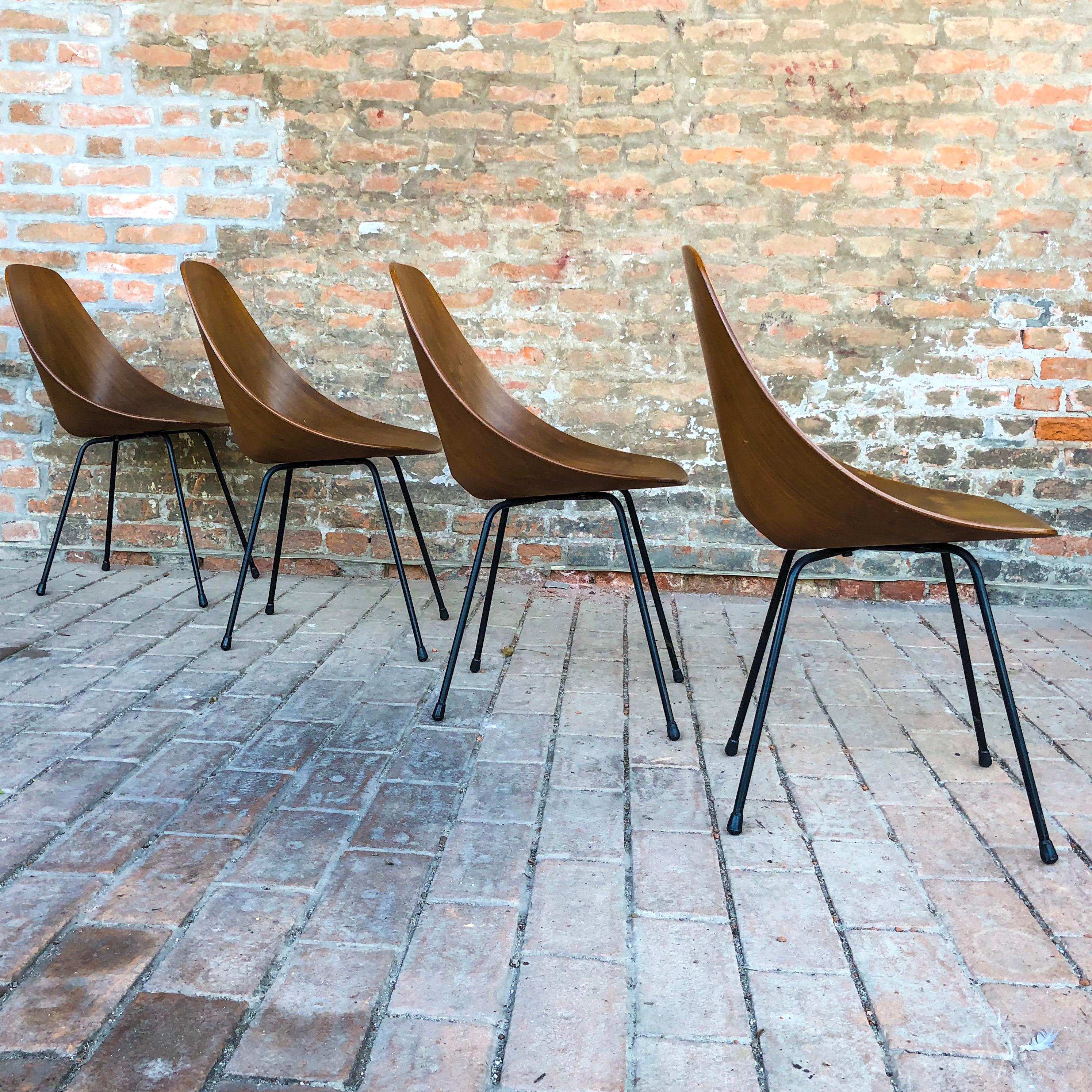 Plywood Vittorio Nobili Midcentury Teak Medea Dining Room Chairs, 1956, Set of Four For Sale