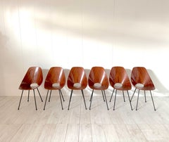 Vittorio Nobili, Six chairs mod. Medea, Prod. Fratelli Tagliabue, 1950s