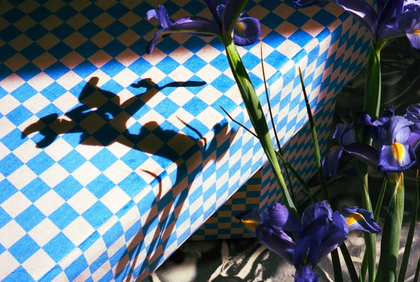 Viva Checkerboard Black White Panca scultorea in velluto contemporanea di Houtique in vendita 8