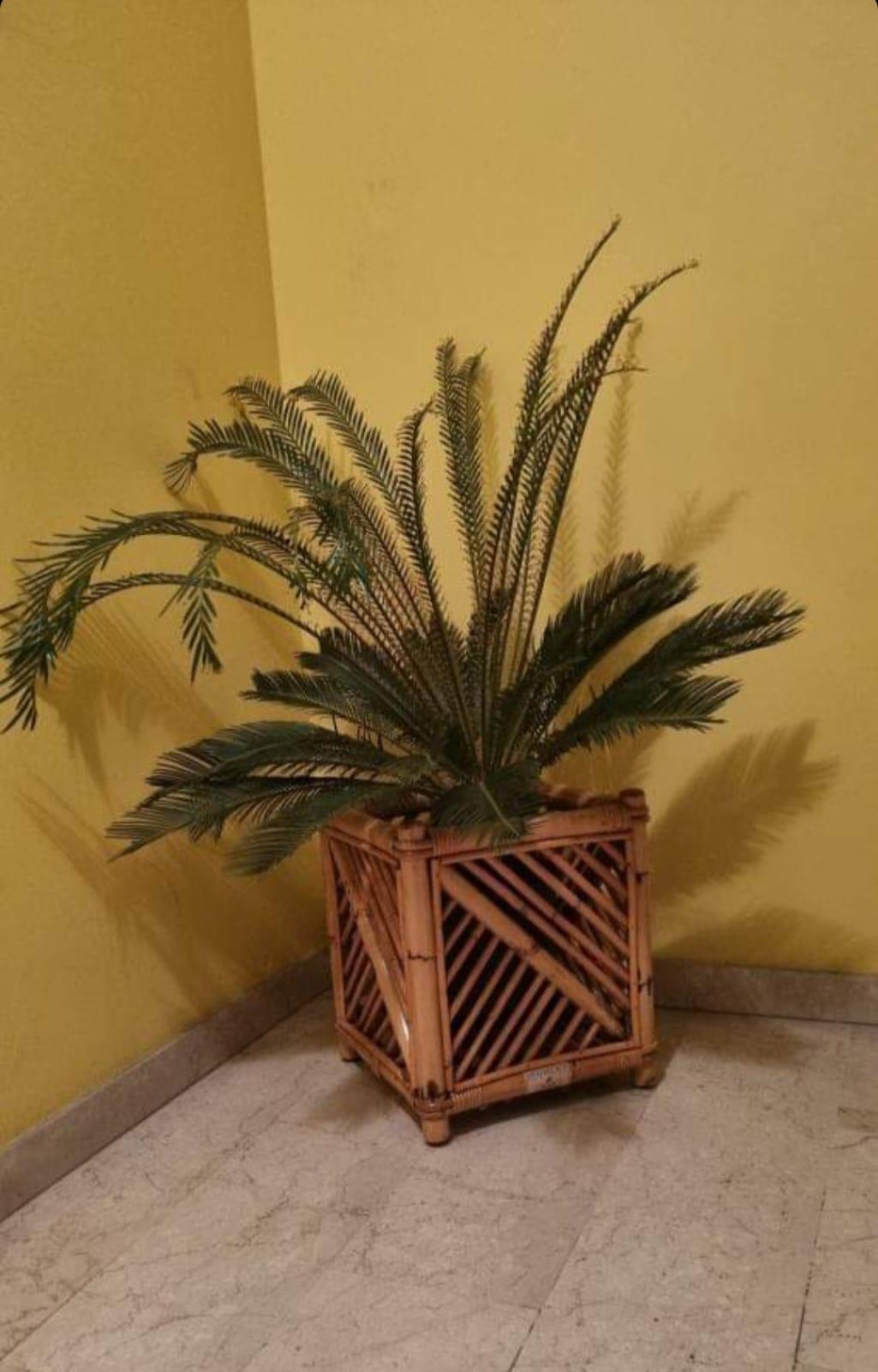 Vivai Del Sud - Cache-pot ou panier à plantes vintage en osier et bambou, années 1970 en vente 3