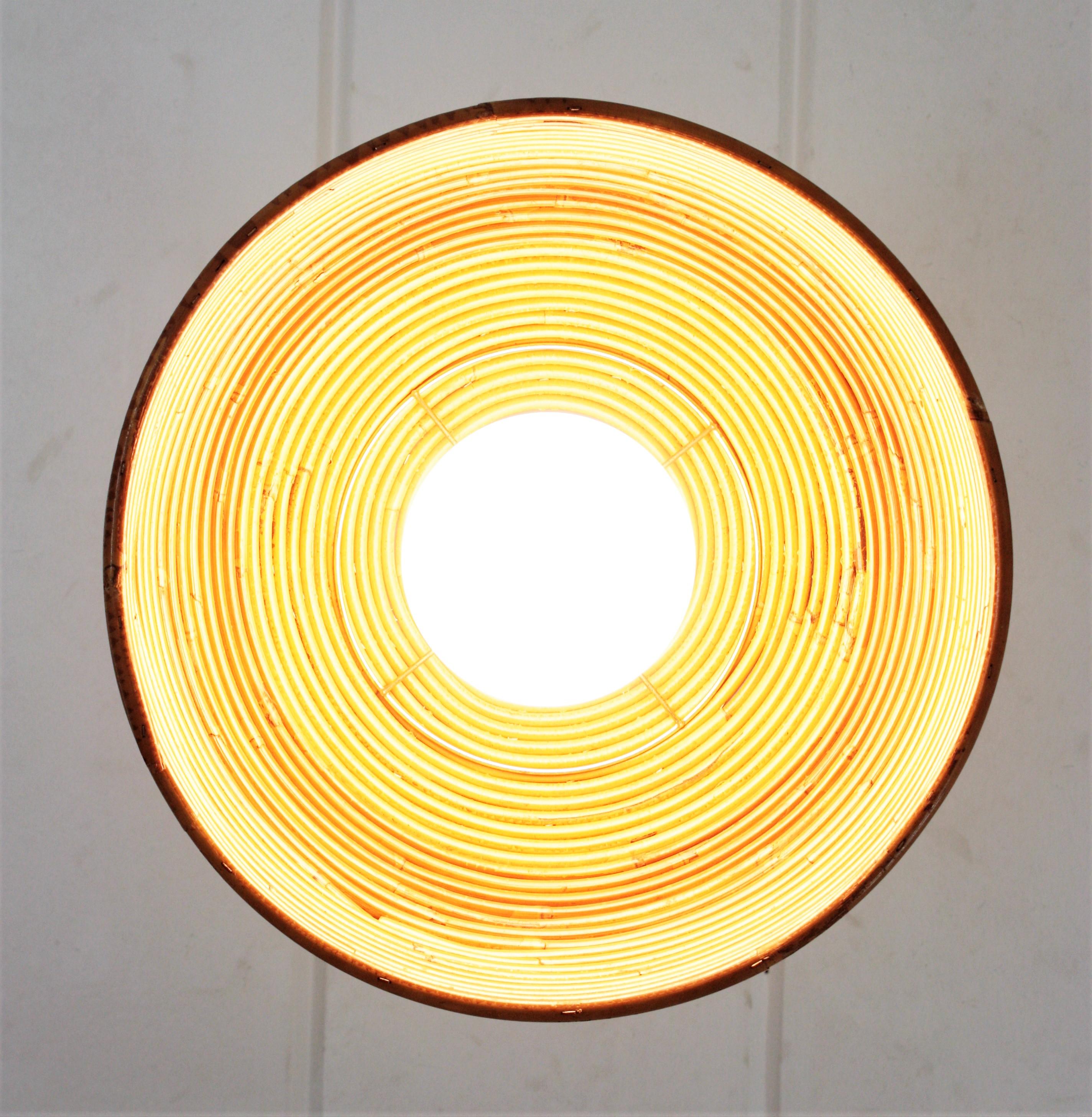 Vivai del Sud Pencil Reed Rattan Dome Pendant Light, 1960s For Sale 11