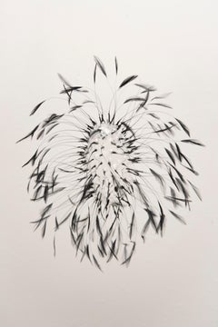 Vivian Alarcón: Escultura contemporánea abstracta de cristal y plumas negras