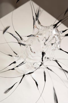 Vivian Alarcón: scultura contemporanea astratta in vetro e piume nere, intitolata “Hiatus”