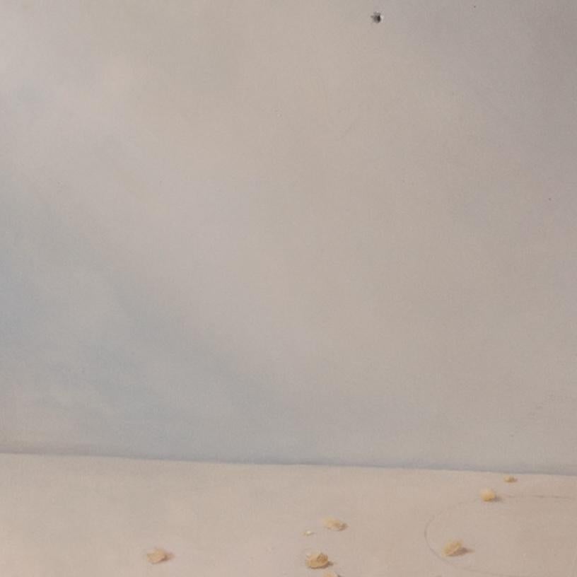 Still Life with Damar Crystalline Resin & Salt - Painting by Vivian Van Der Merwe