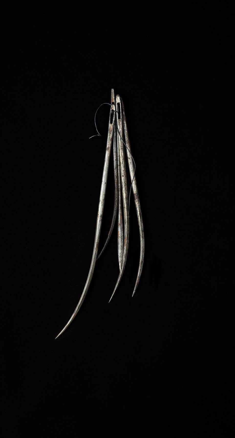 Viviana Zargón Figurative Photograph – Políptico Objetos Memorables  II – Ramillete de Agujas