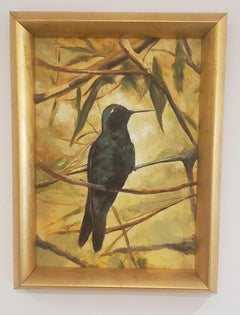 La visite du merle austral Artiste chilien, émergent,  Encadré 14x10, Oiseau