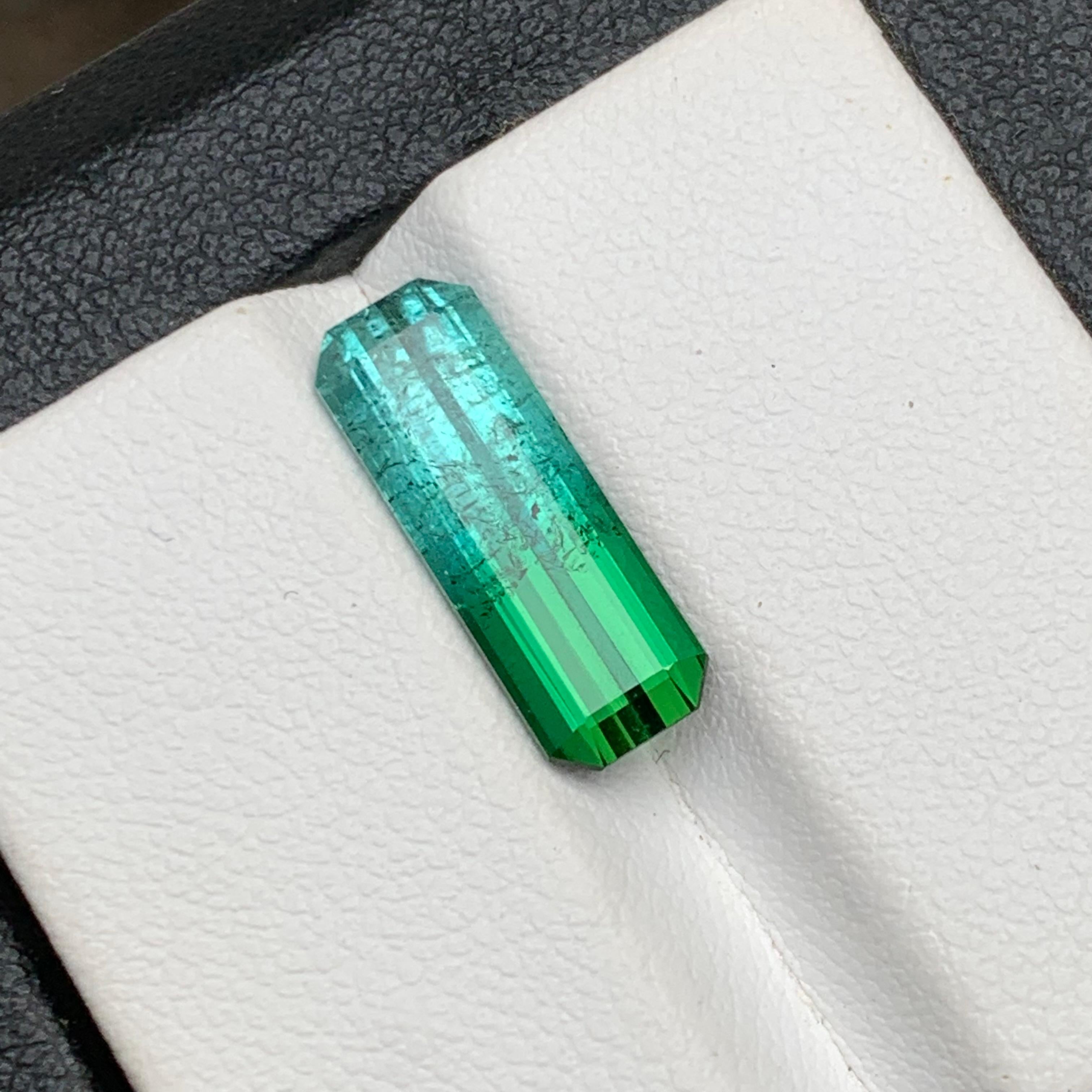 Vivid Blau & Grün Bicolor Natürlicher Turmalin Ring Edelstein 3.85 Ct Smaragd Schliff für Damen oder Herren im Angebot