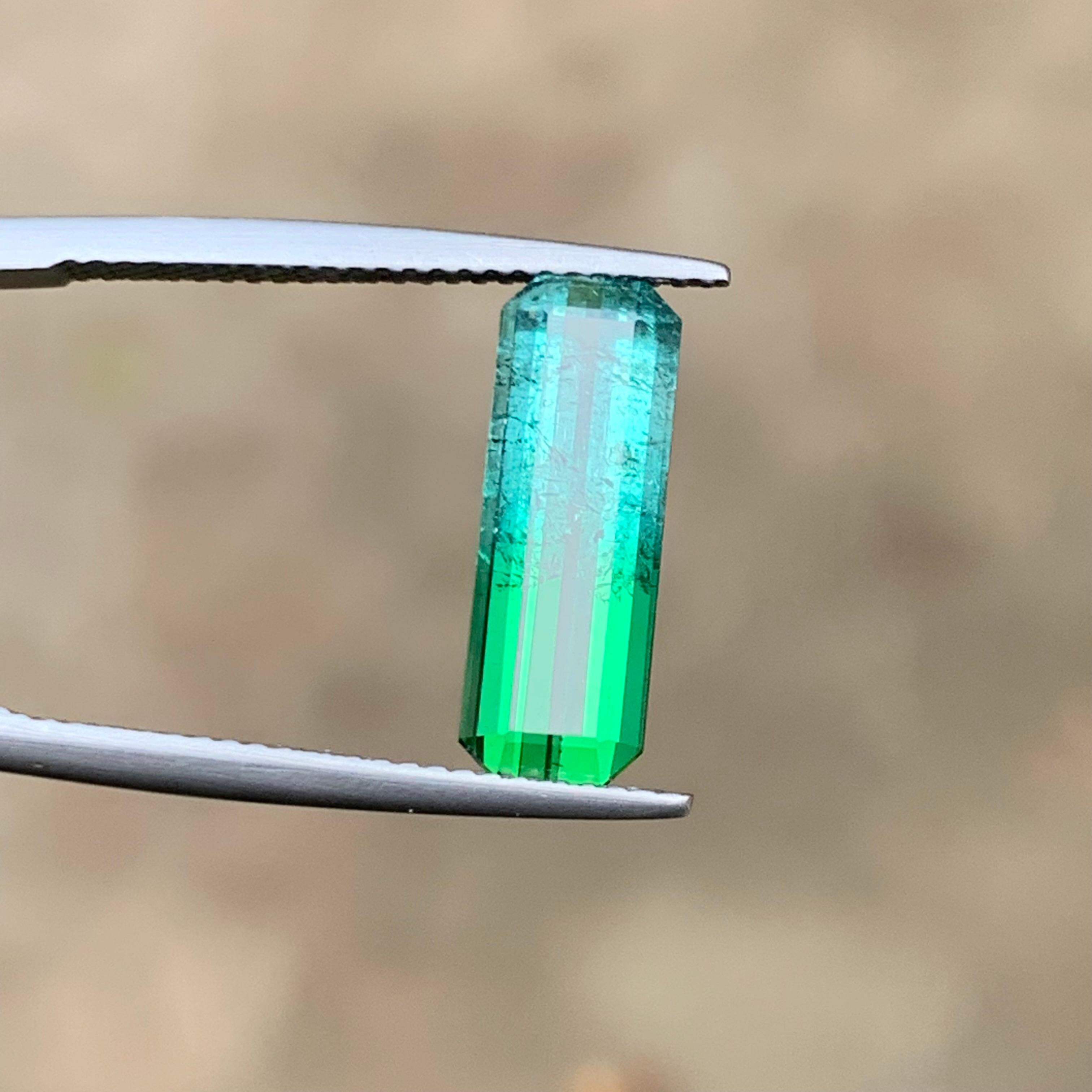 Vivid Blau & Grün Bicolor Natürlicher Turmalin Ring Edelstein 3.85 Ct Smaragd Schliff im Angebot 1