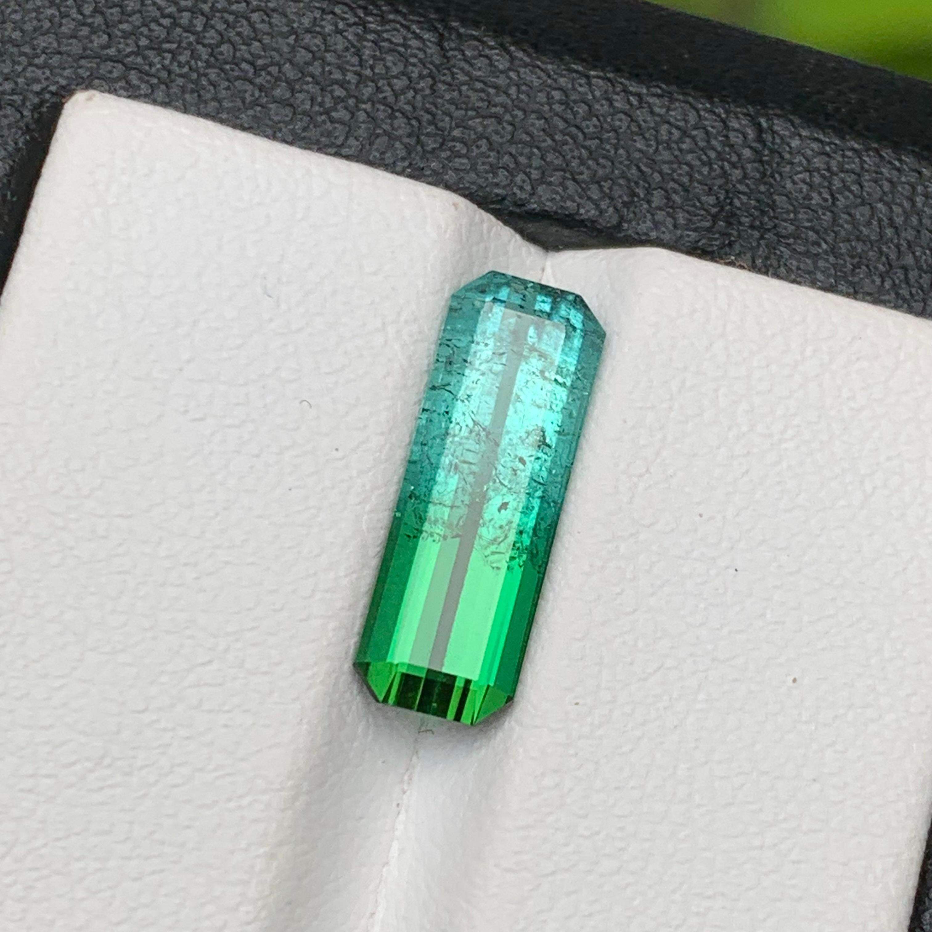 Vivid Blau & Grün Bicolor Natürlicher Turmalin Ring Edelstein 3.85 Ct Smaragd Schliff im Angebot 3